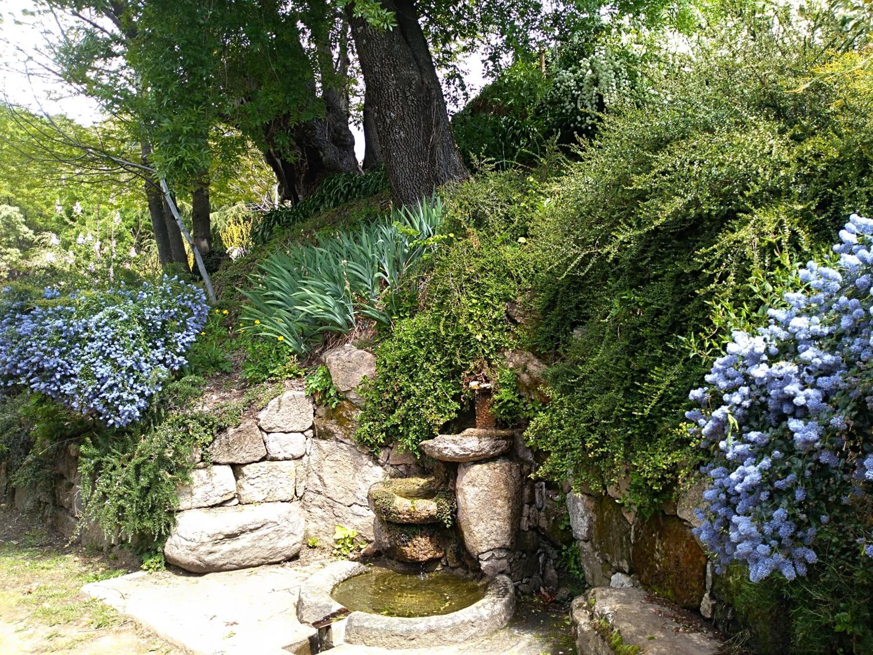 Photo 45