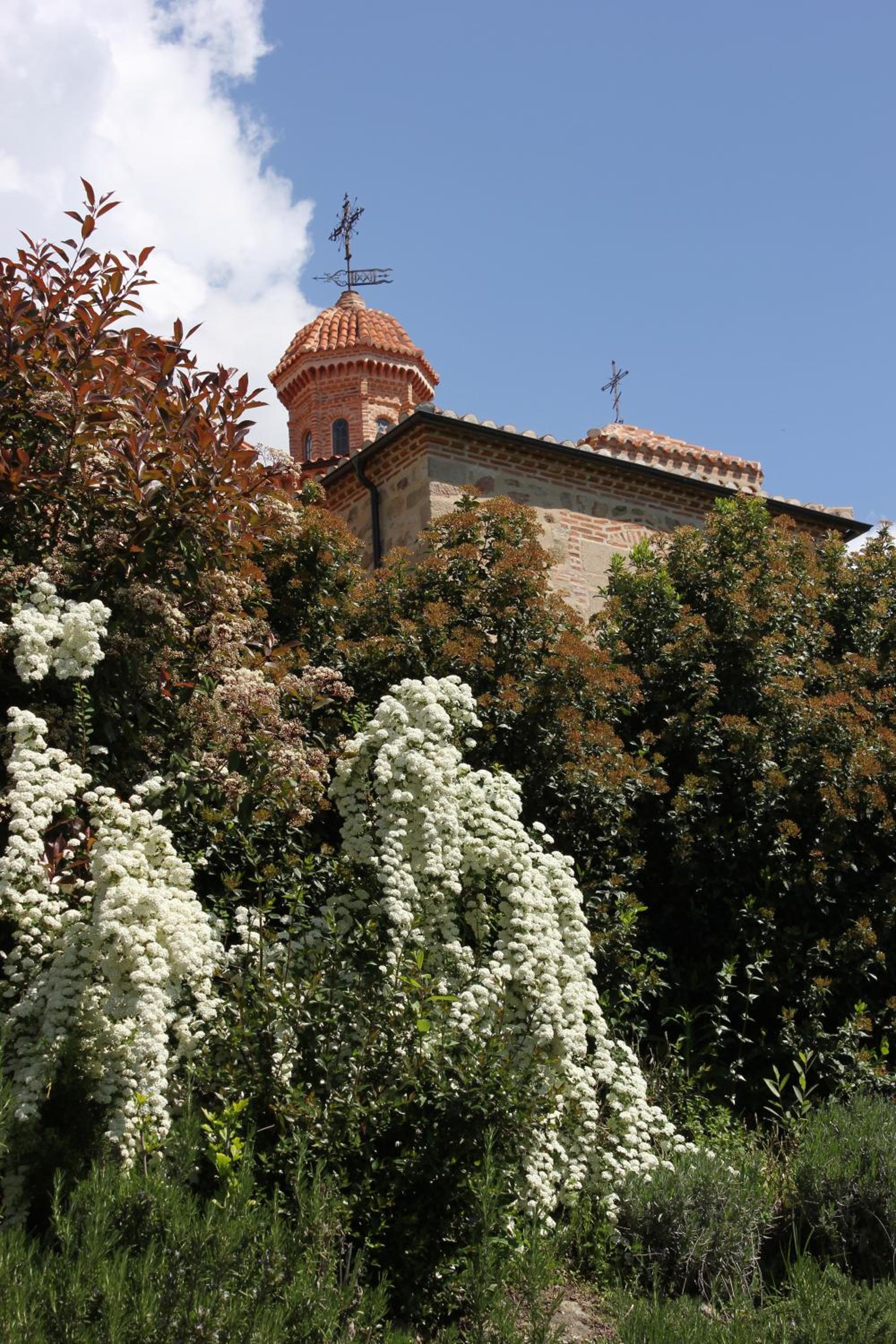 Photo 49