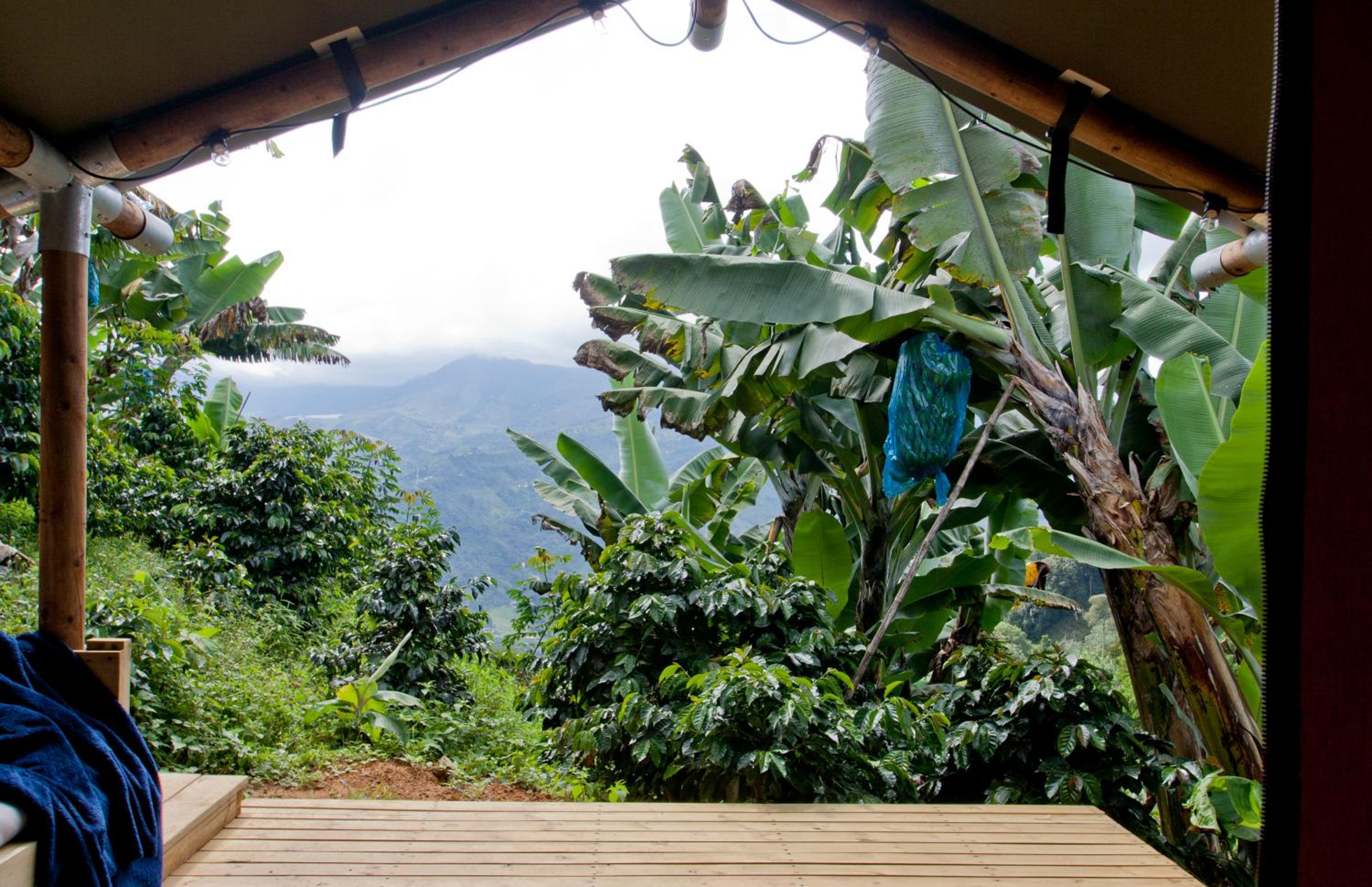 Glamping Jardín