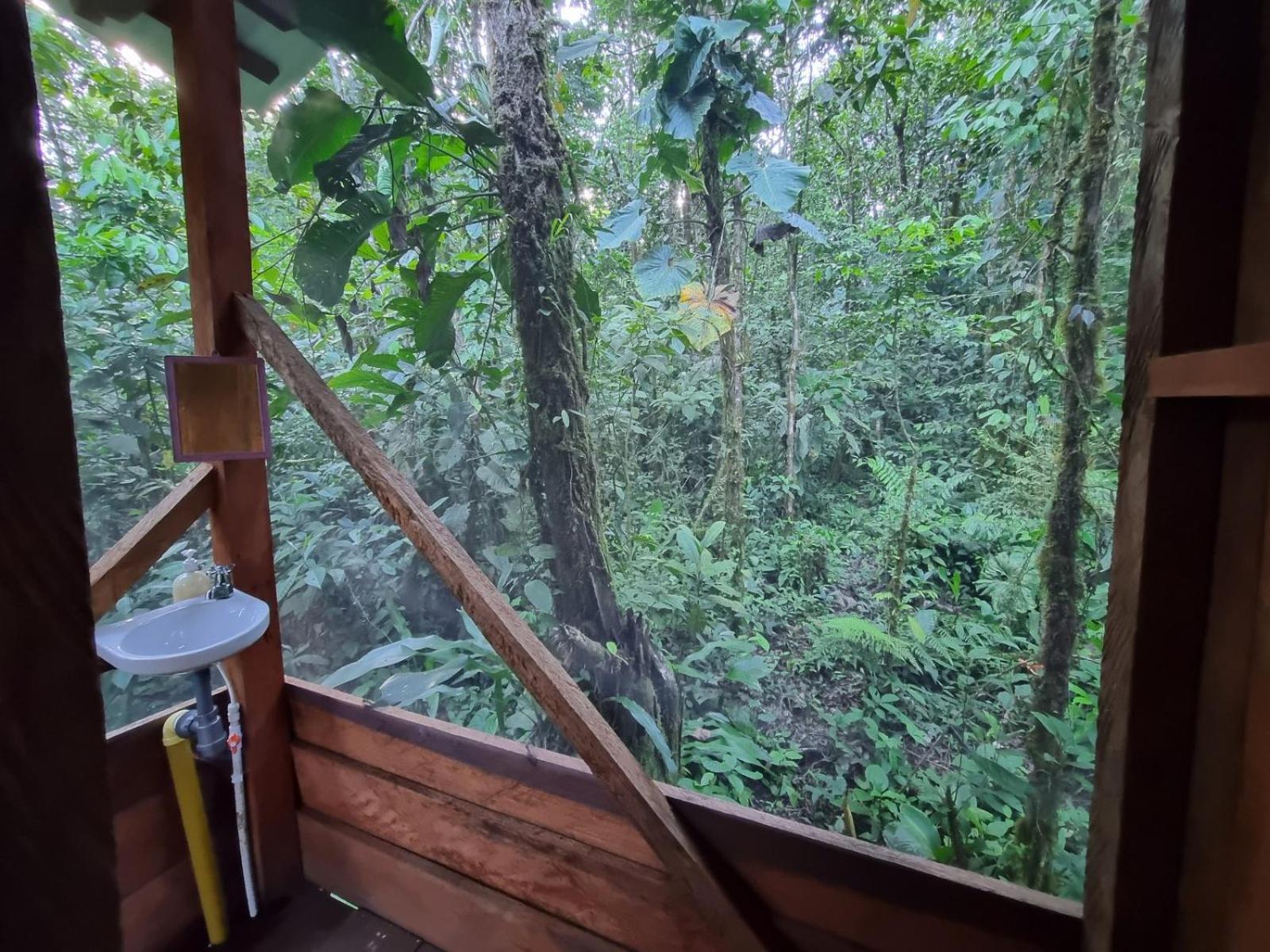 Cabaña Leucopternis - in the middle of Amazon forest