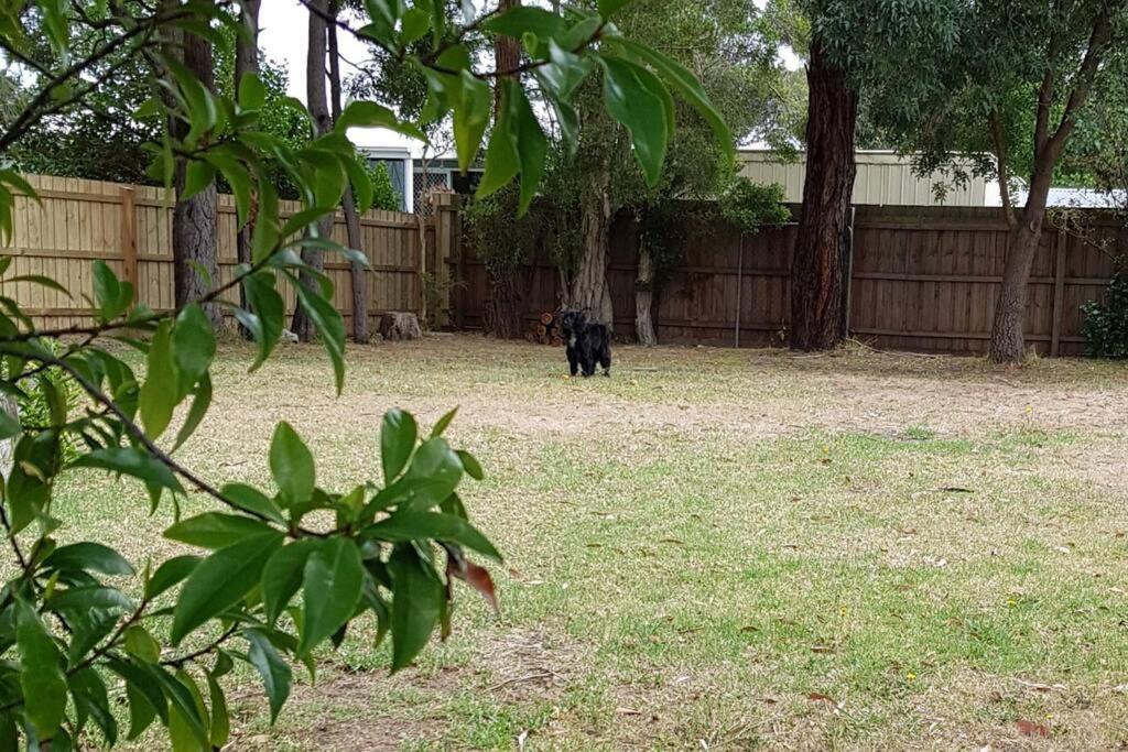 Garden Cottage, Dog Friendly. Wonthaggi.