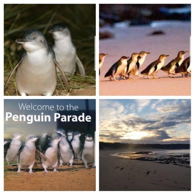 Garden Cottage, Dog Friendly. Wonthaggi.