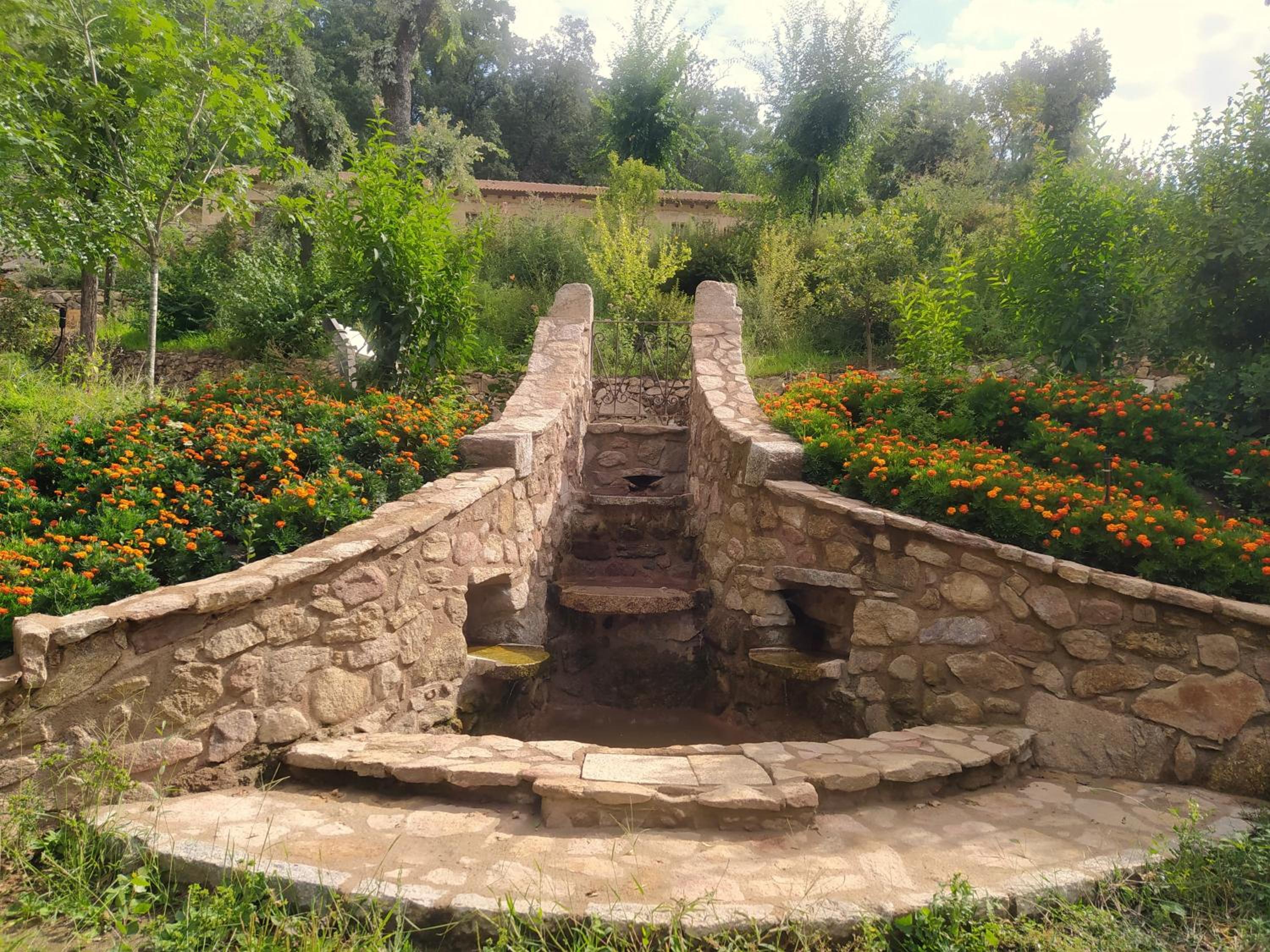 Photo 56