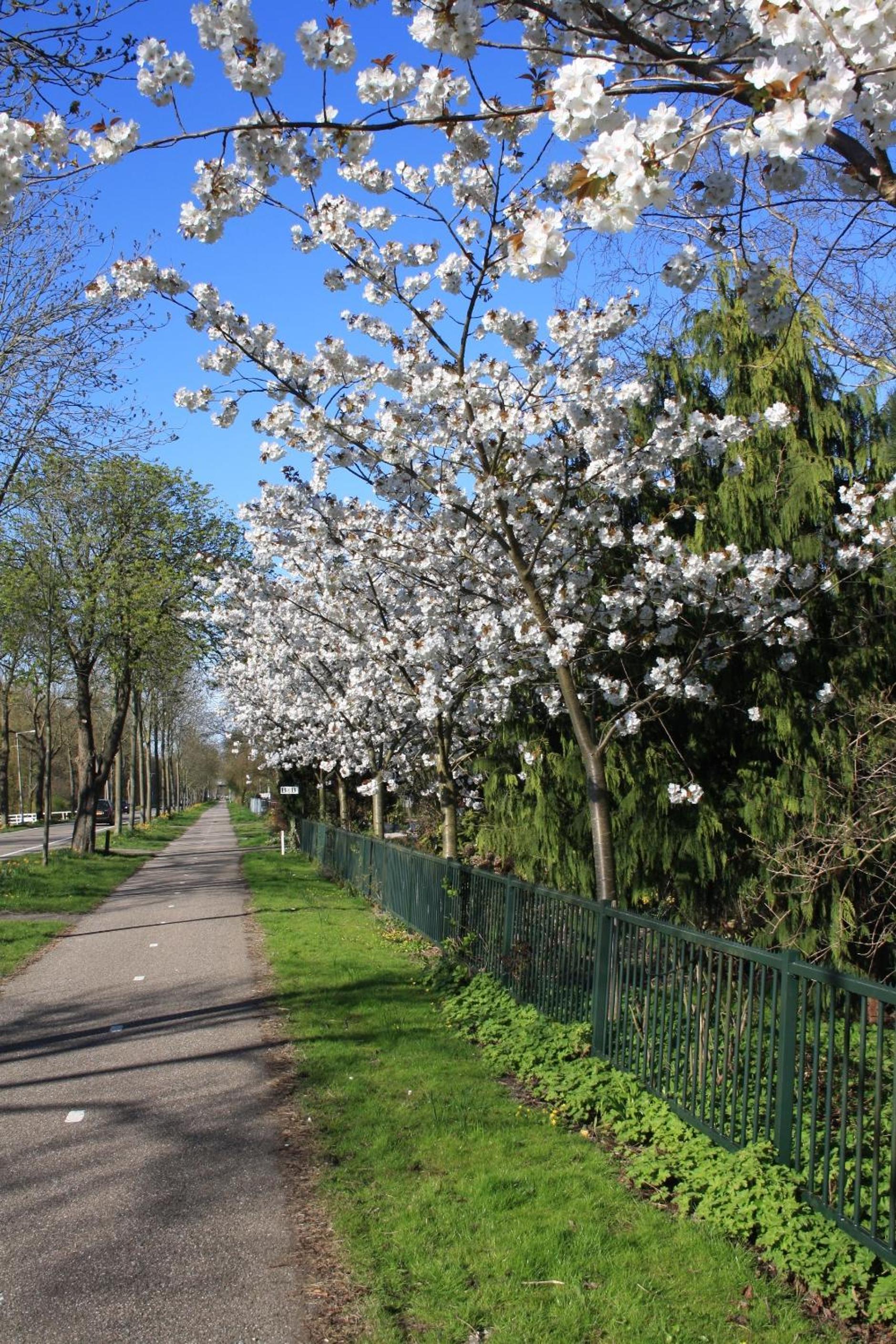 Photo 17