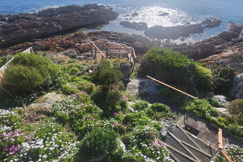 Heathcliff. Stunning ocean views!
