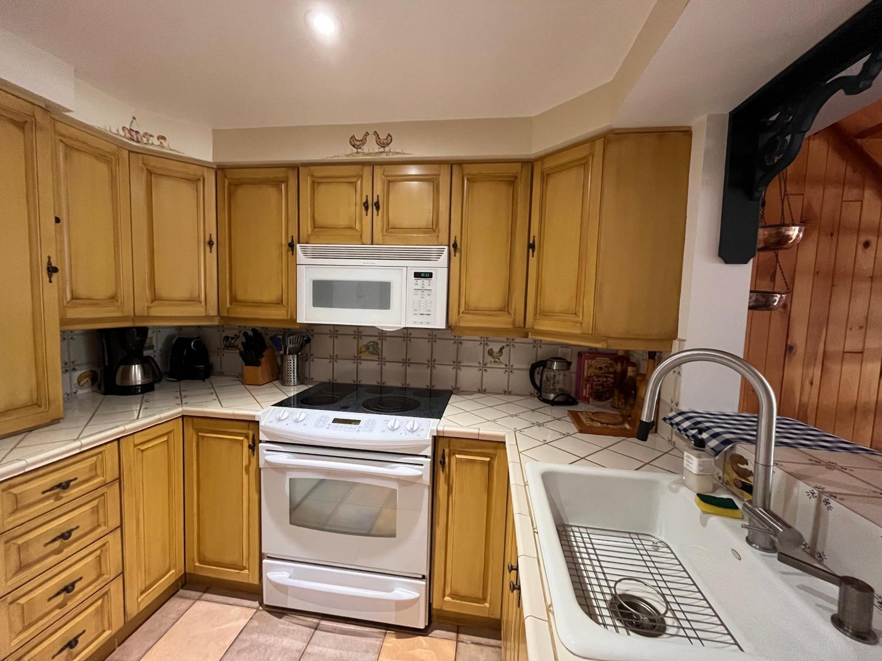Cozy 2 bedrooms condo with stunning Mont Tremblant mountain and lakeview