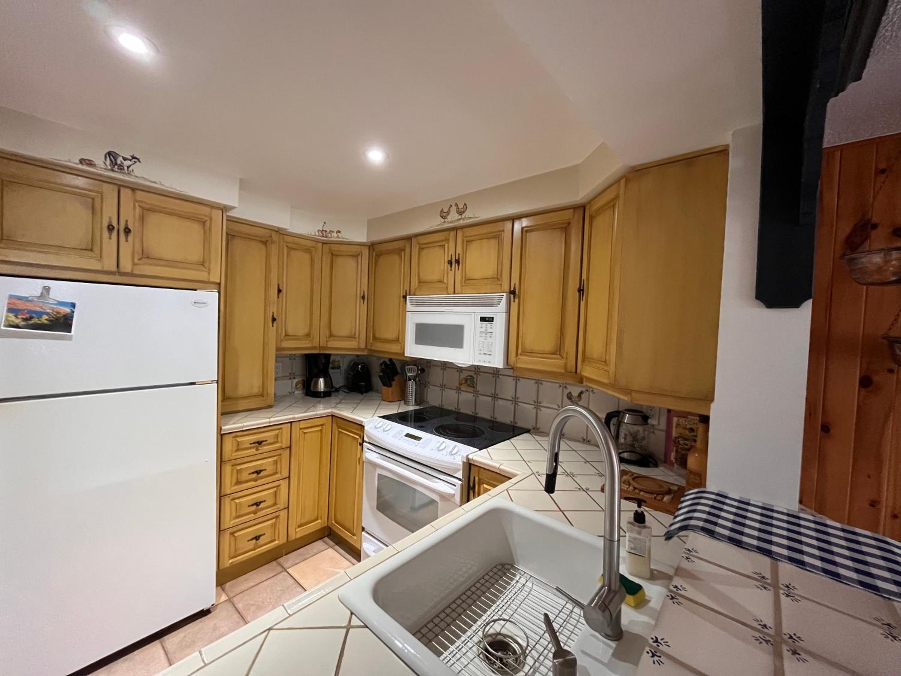 Cozy 2 bedrooms condo with stunning Mont Tremblant mountain and lakeview