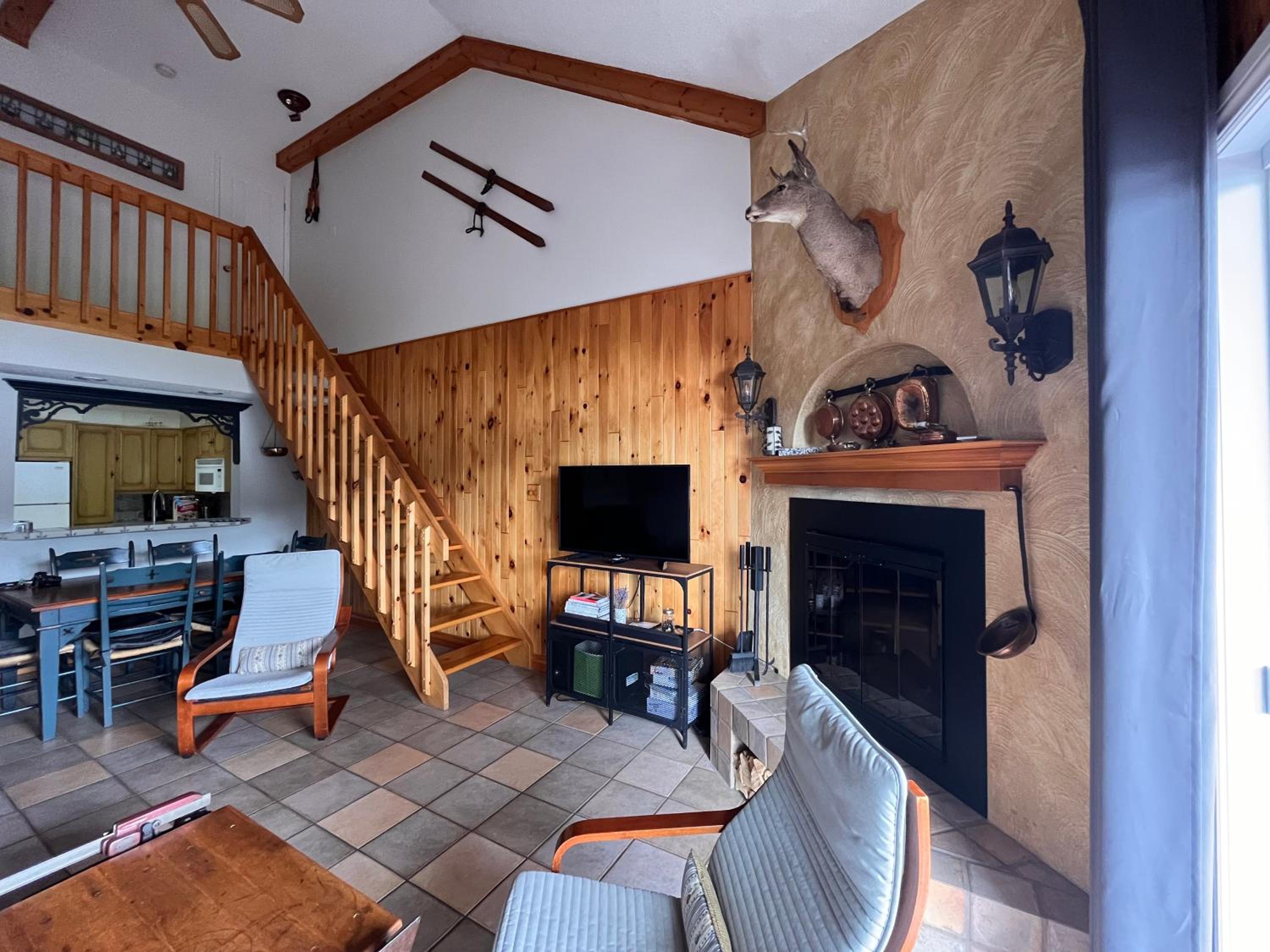Cozy 2 bedrooms condo with stunning Mont Tremblant mountain and lakeview