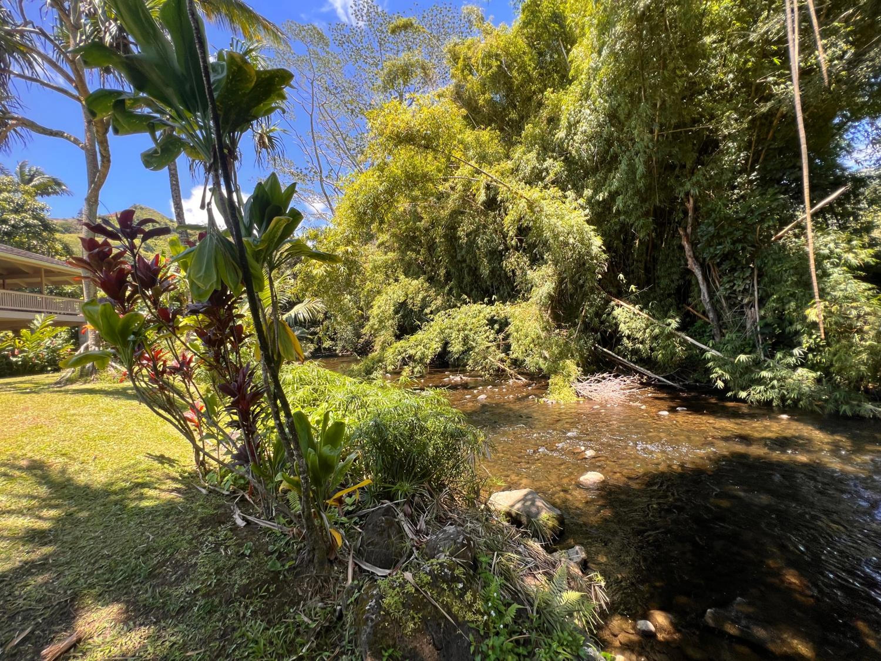 River Estate Guest House view 5