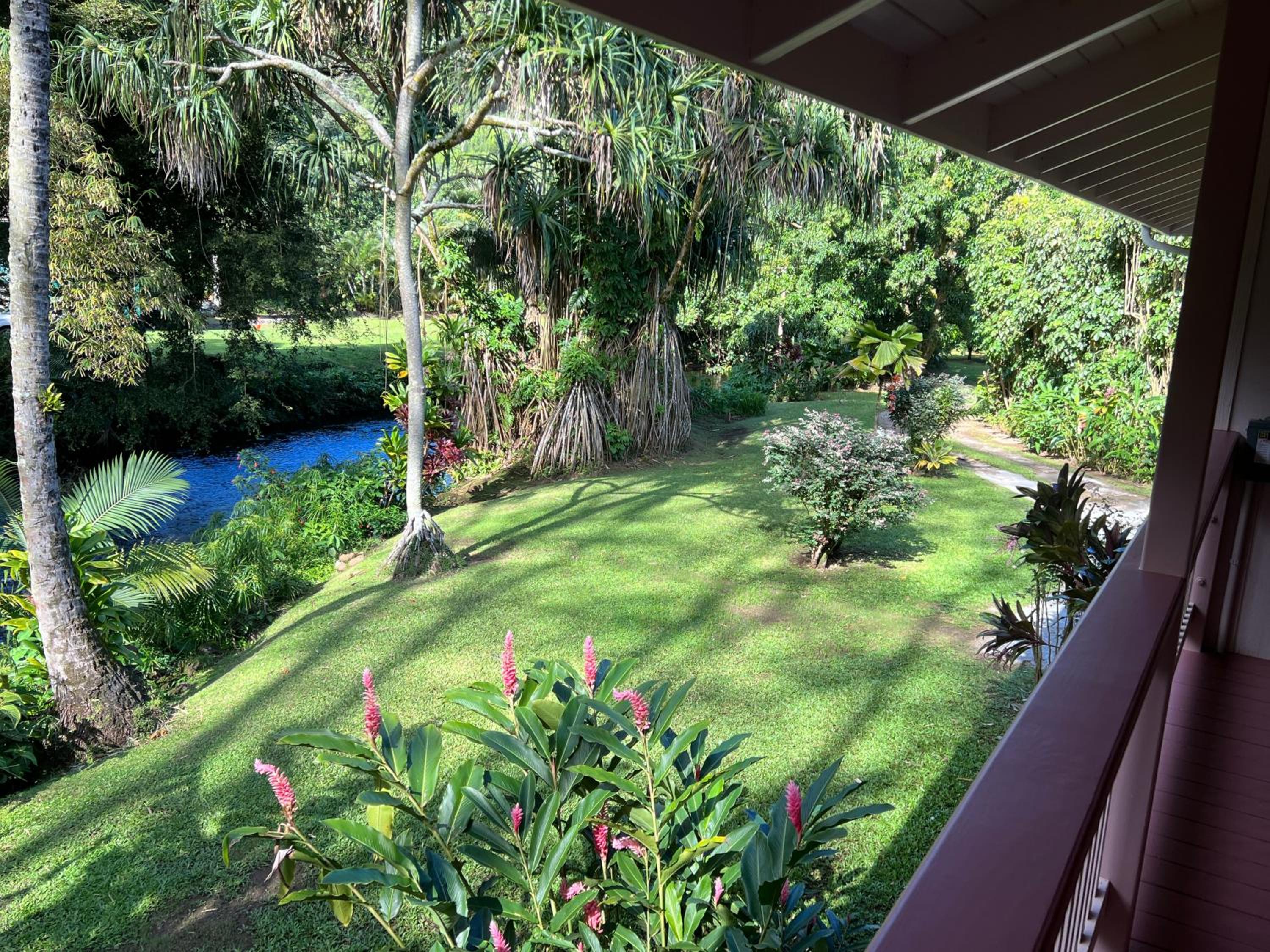 River Estate Guest House view 2
