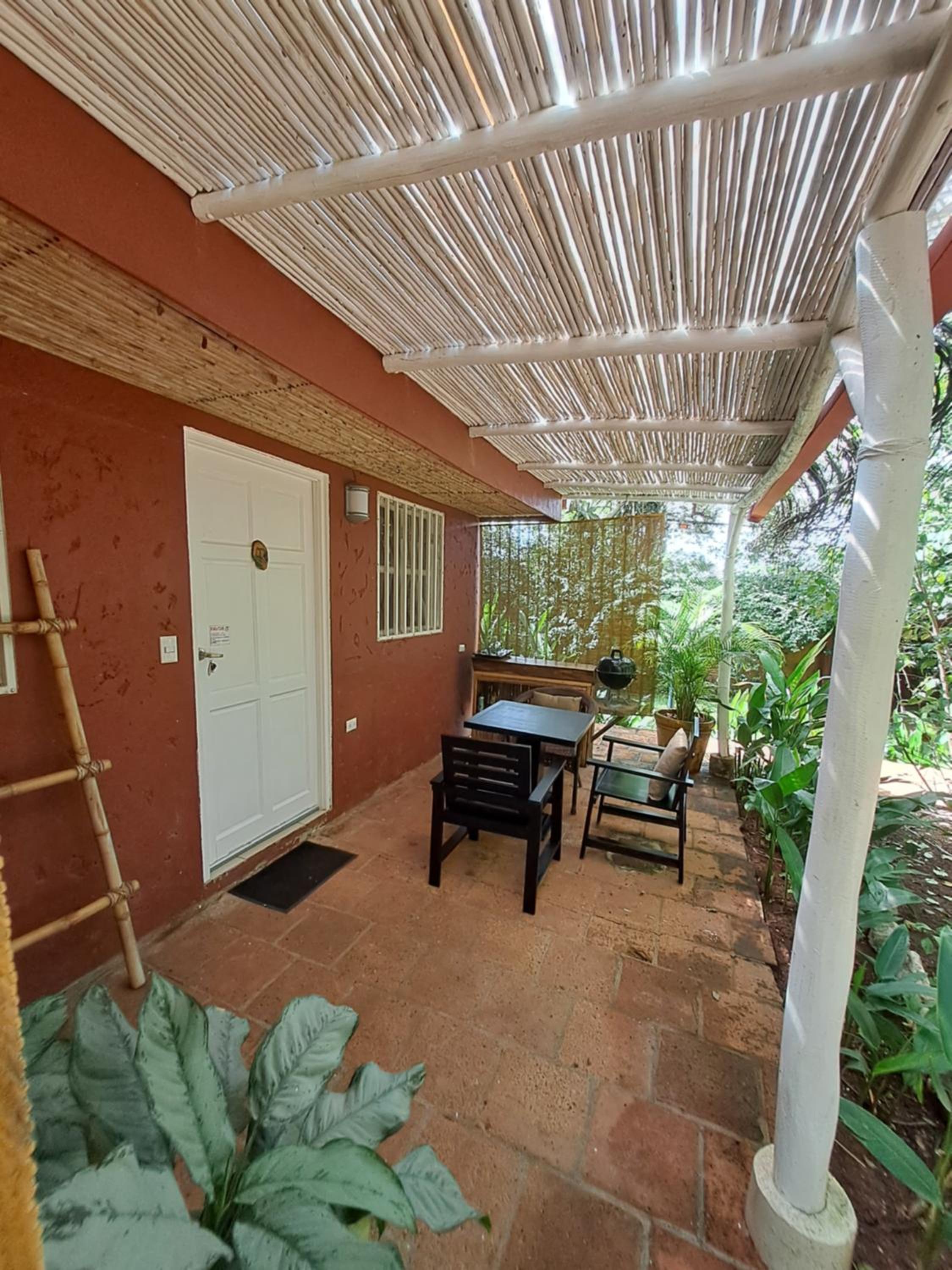 Casa Mapache
