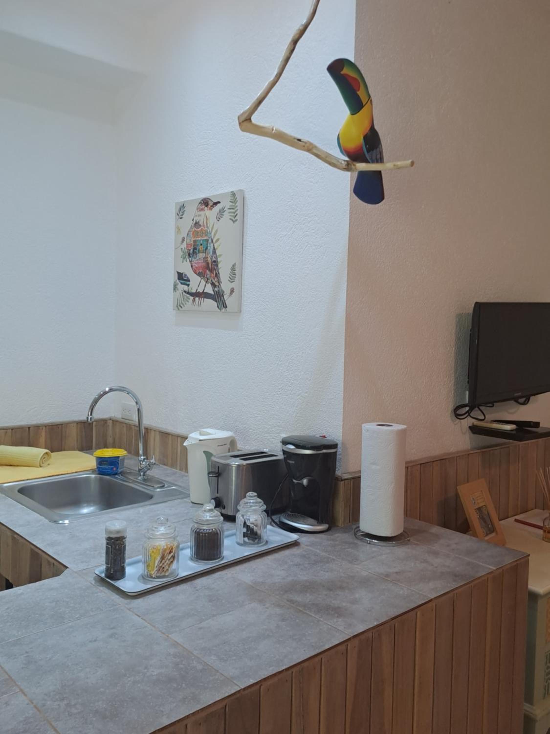Casa Mapache