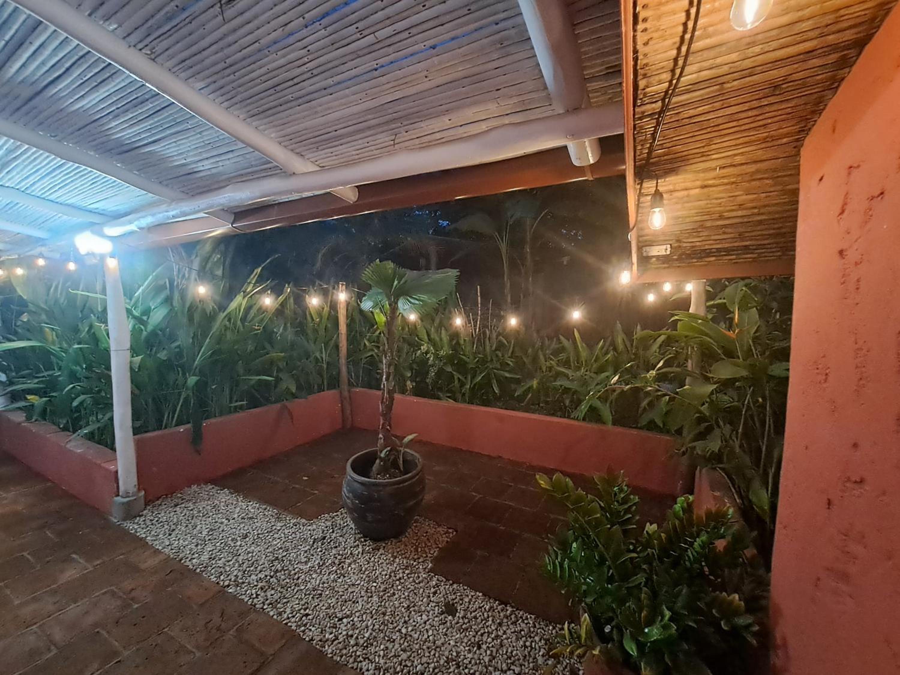Casa Mapache