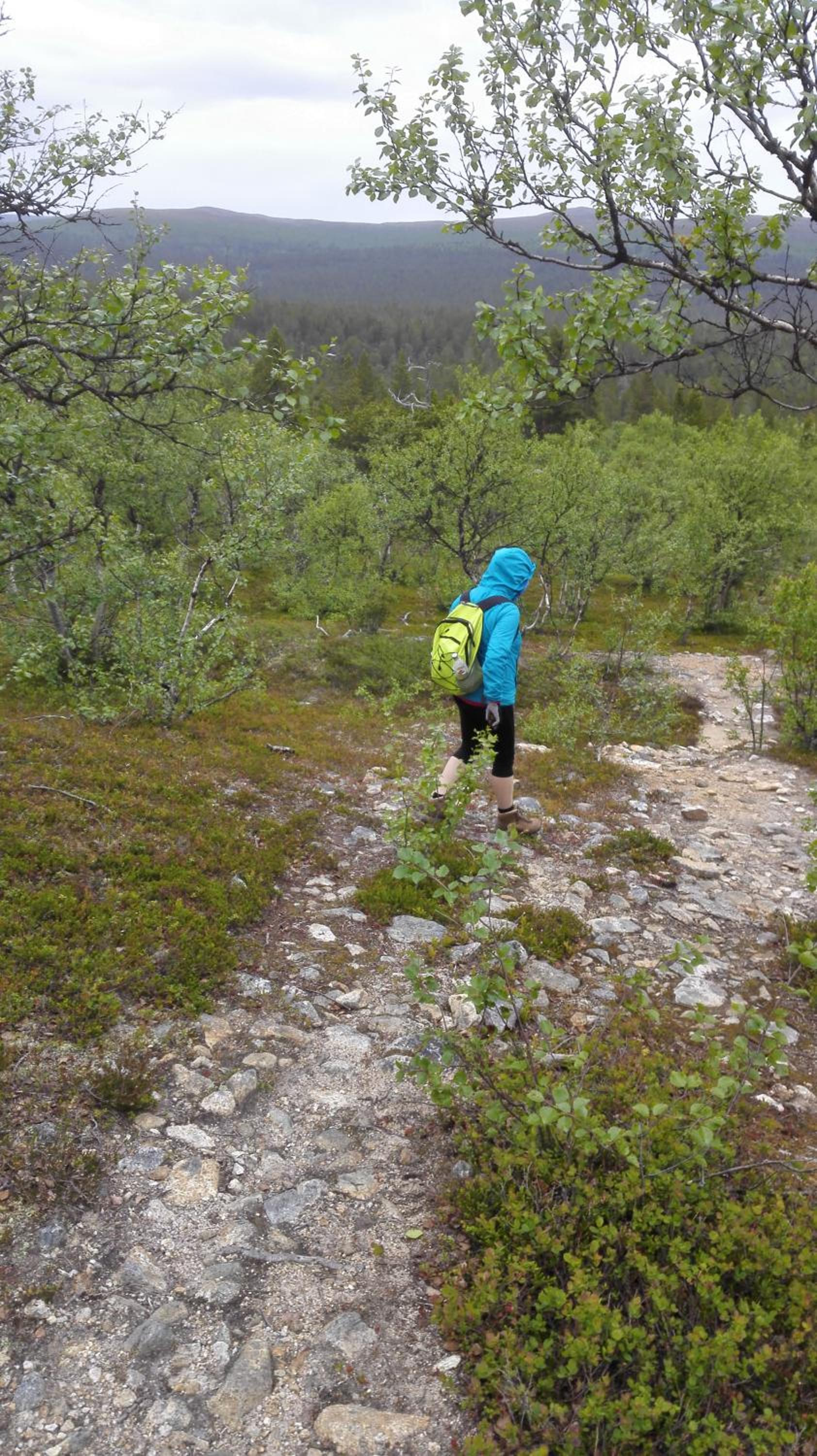 Lemmenjoen Lumo - Nature Experience & Accommodation