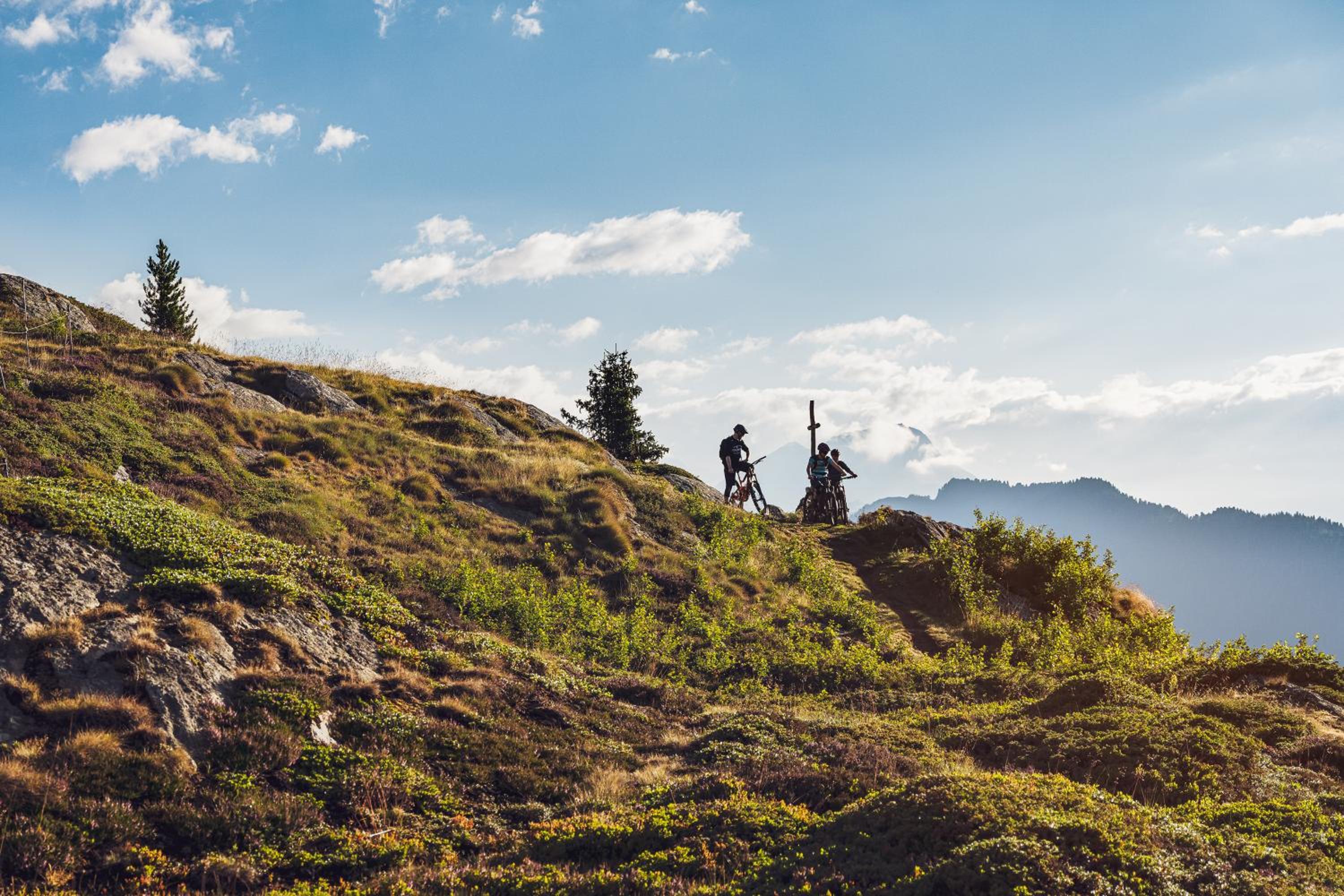 Bachtola BT1