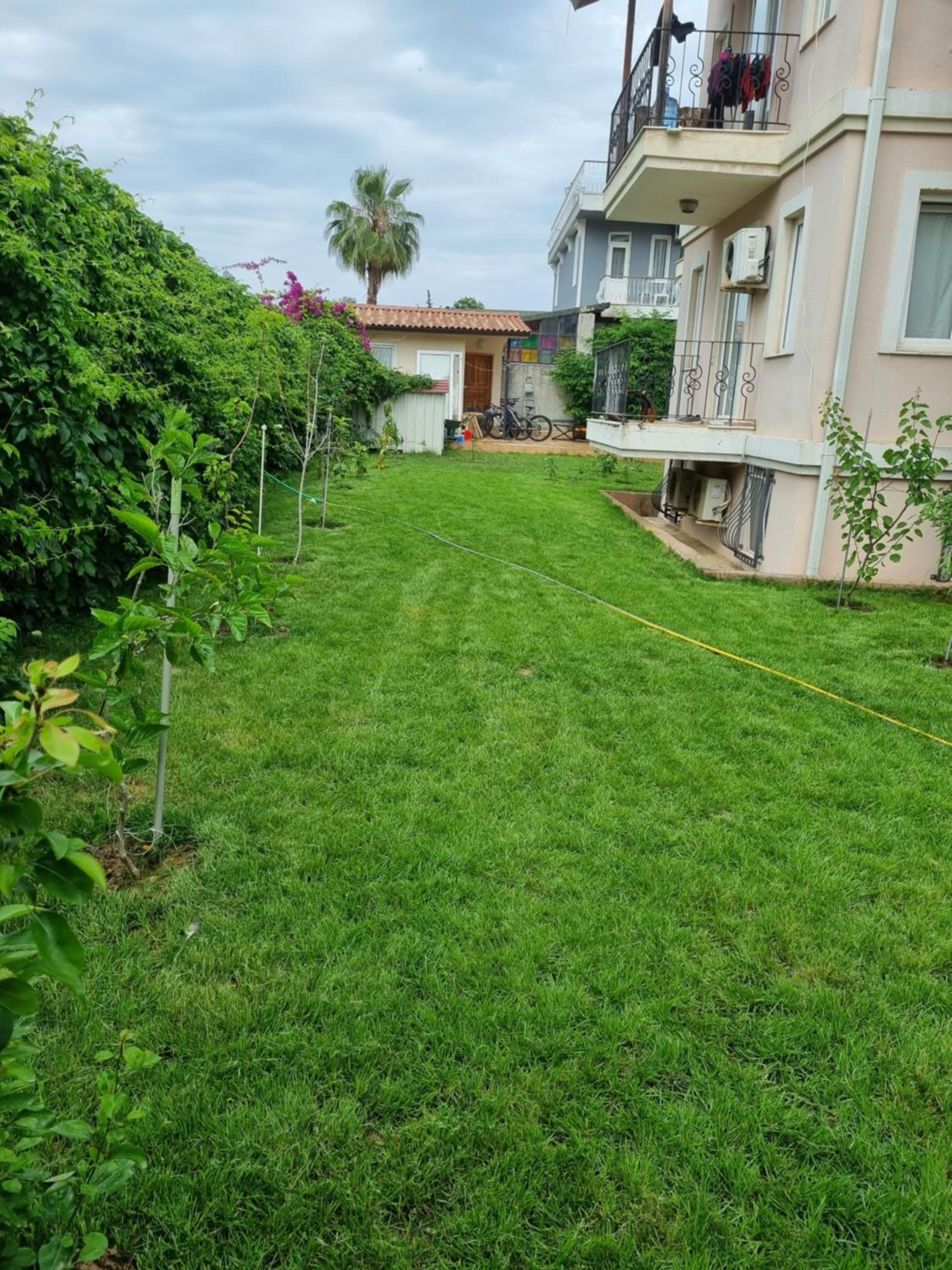 Photo 47