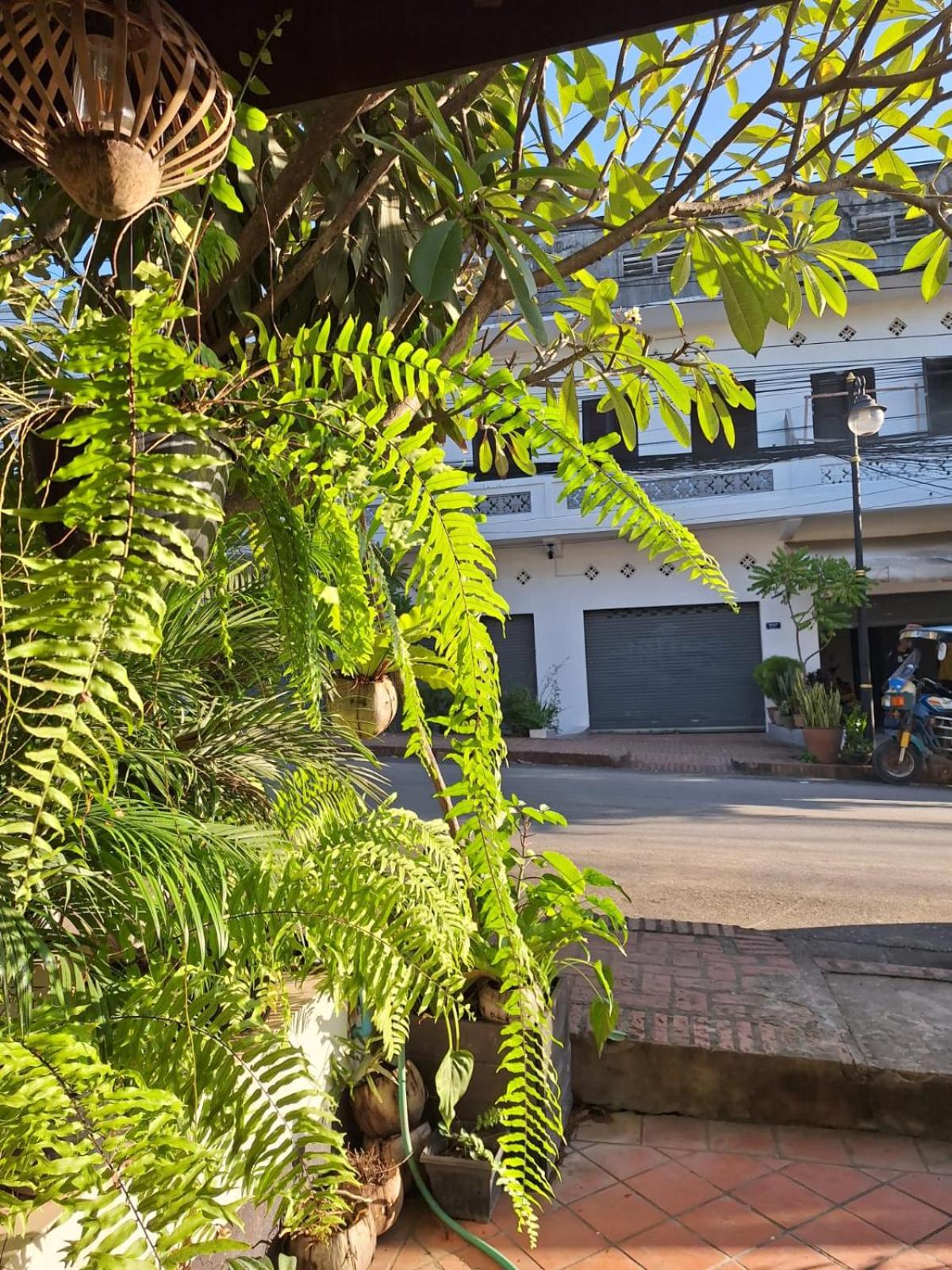 PHAI GUESTHOUSE