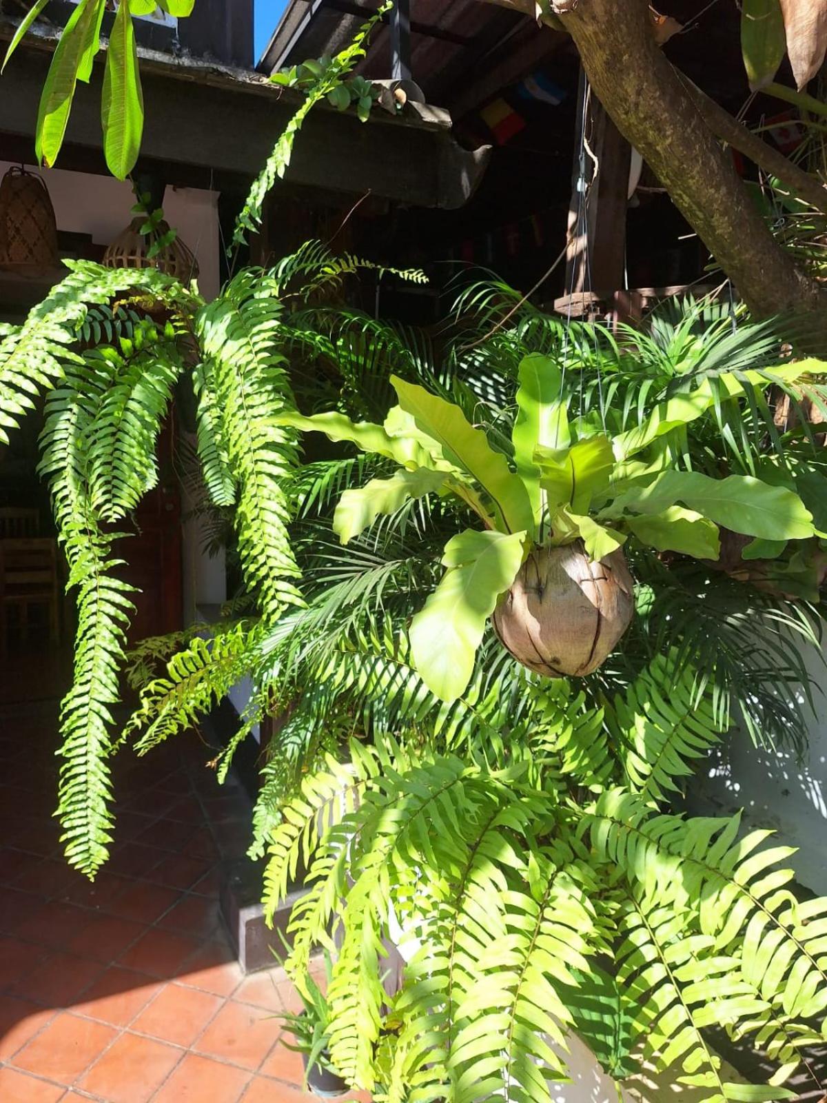 PHAI GUESTHOUSE