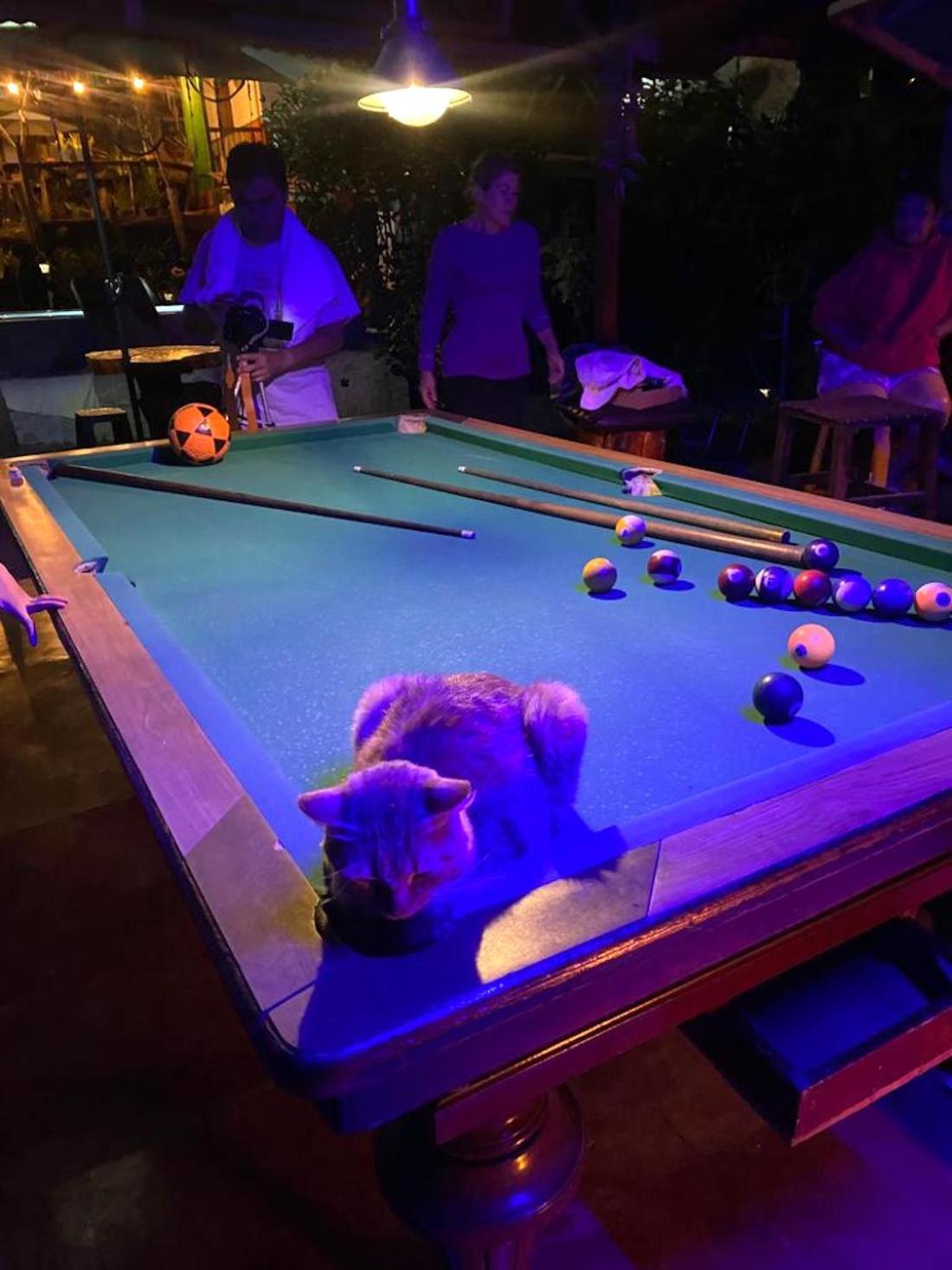 Hostal Estrella de Agua