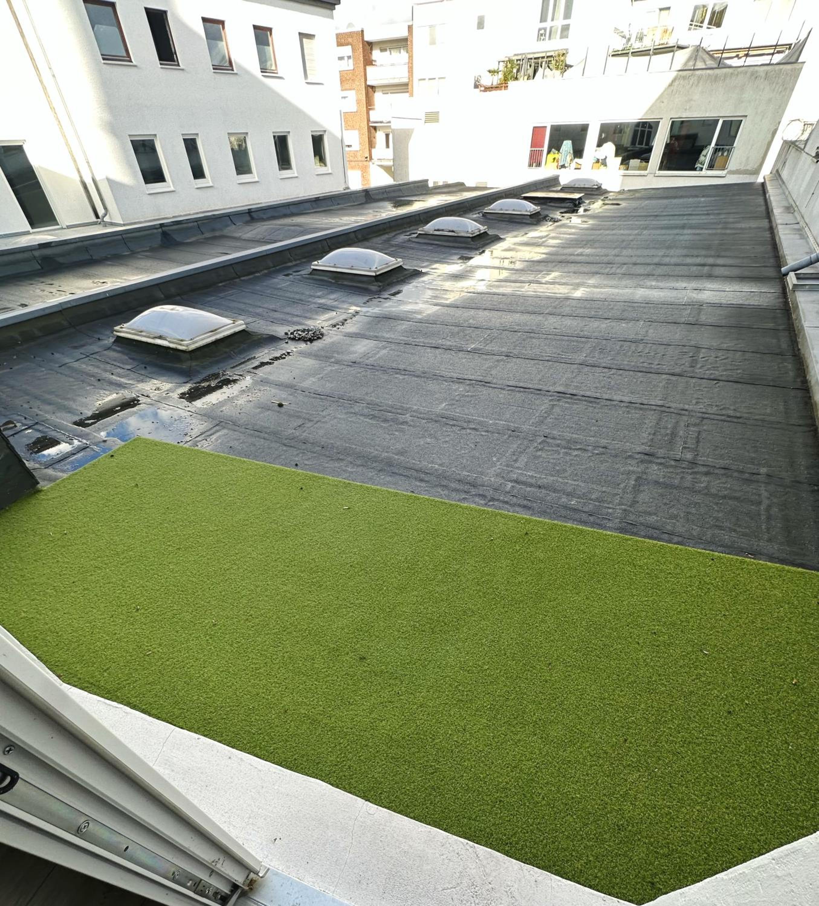 roof