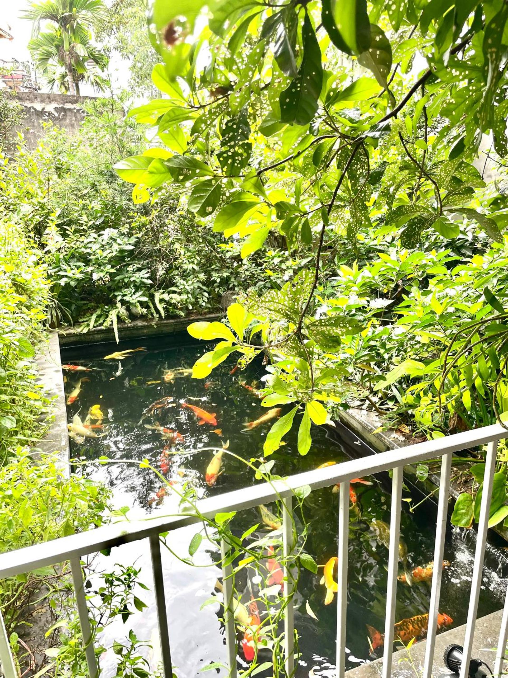 Lee Homestay