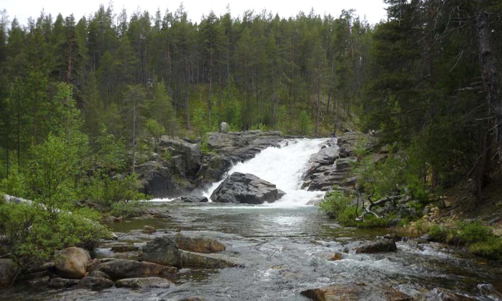 Lemmenjoen Lumo - Nature Experience & Accommodation