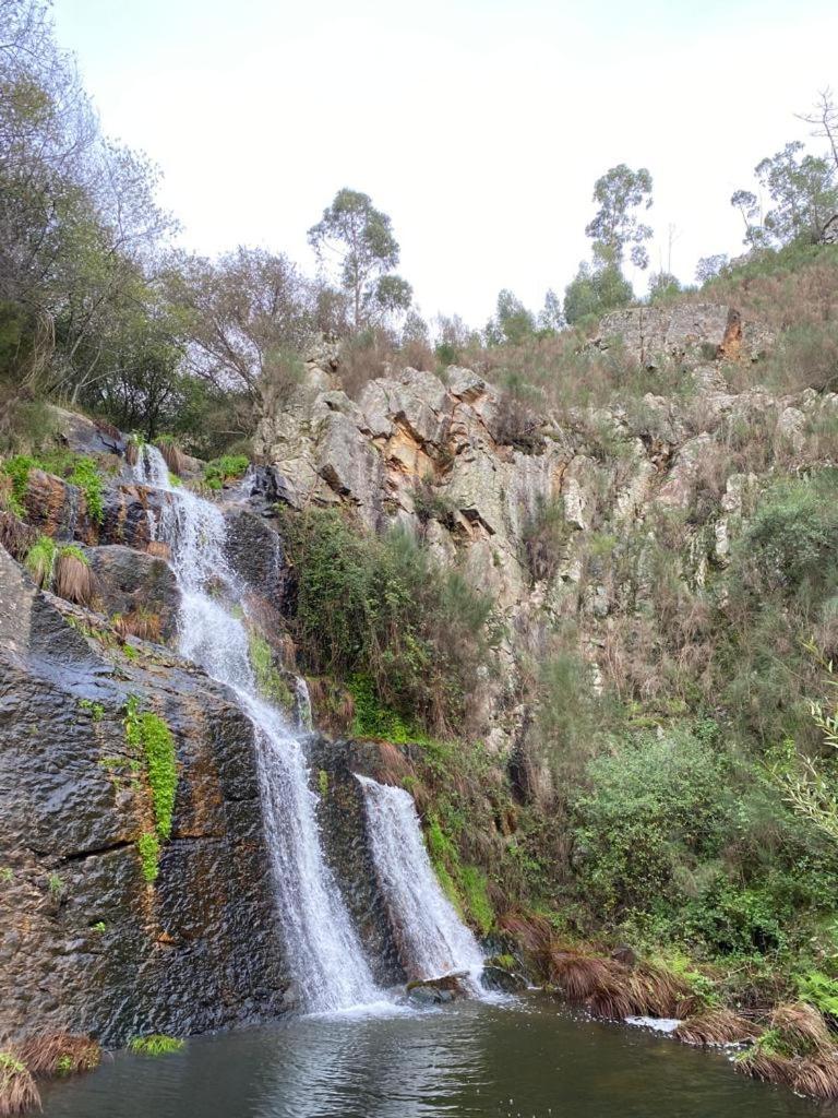 Photo 45