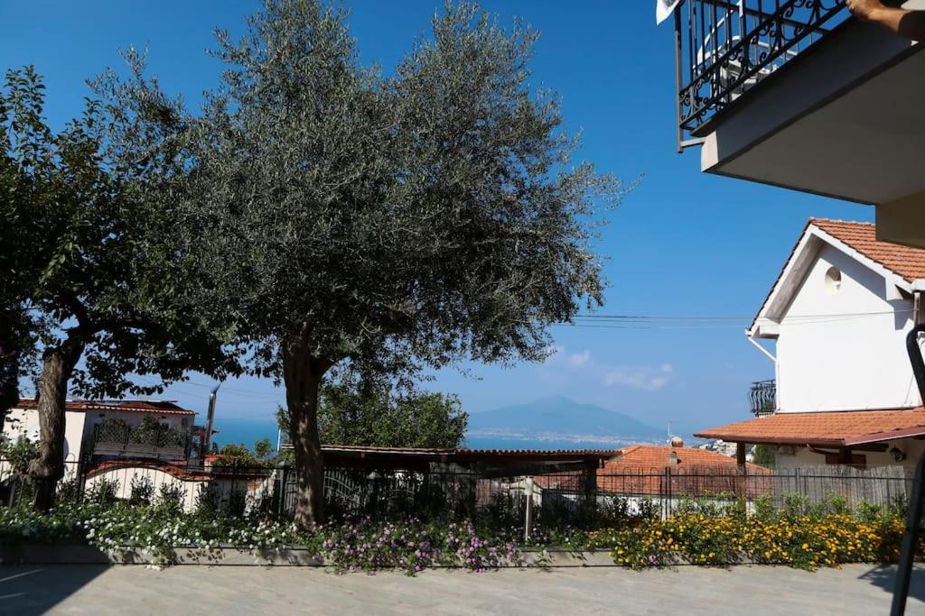 Villa Serena photo 4