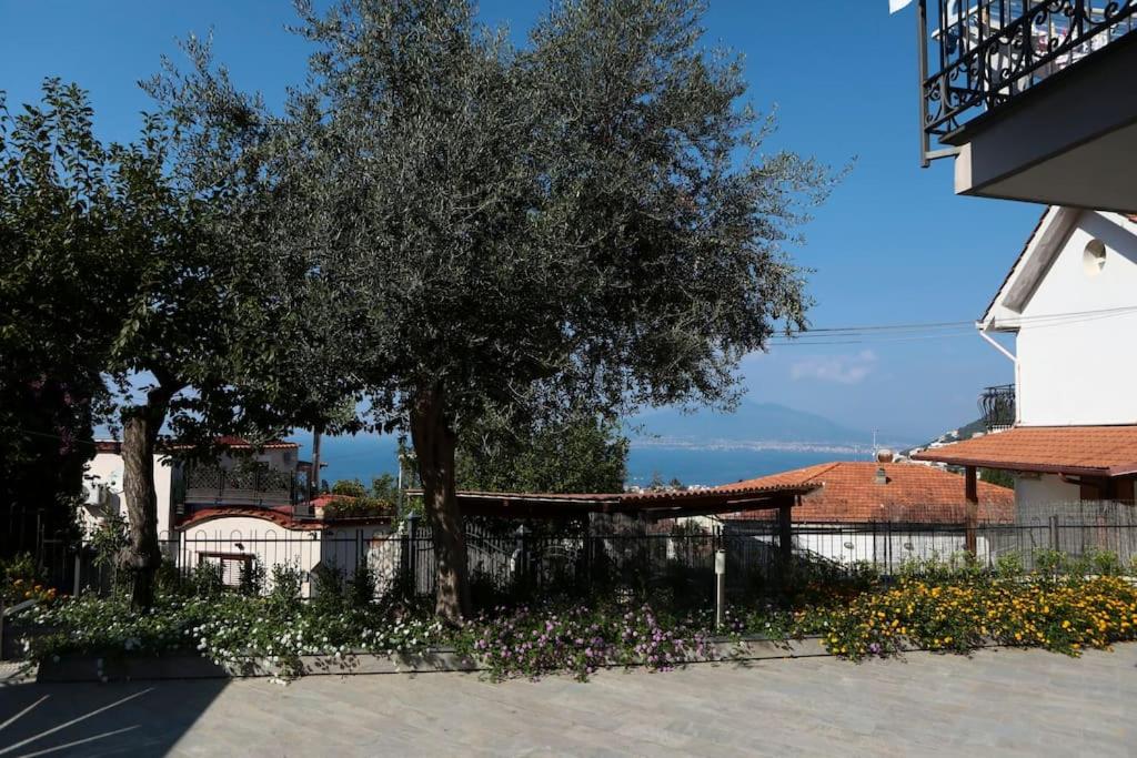 Villa Serena photo 5