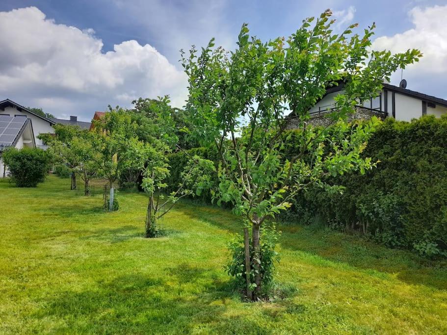 1-Zimmer-Studio am Waldrand