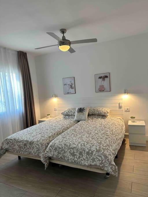 Pachi Beach Alisios Playa Corralejo