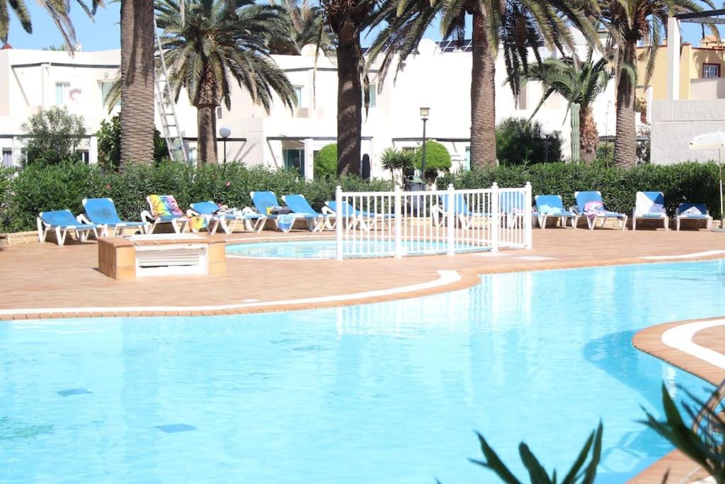 Pachi Beach Alisios Playa Corralejo