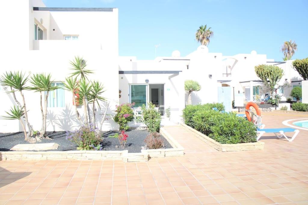 Pachi Beach Alisios Playa Corralejo