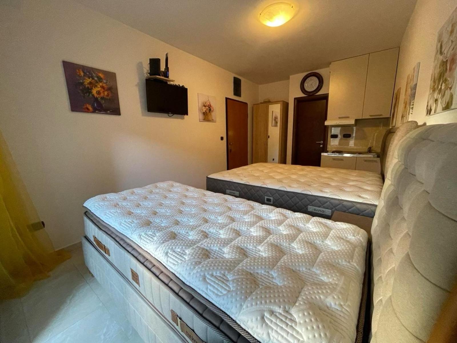 Apartman Dejan Rafailovici photo 5