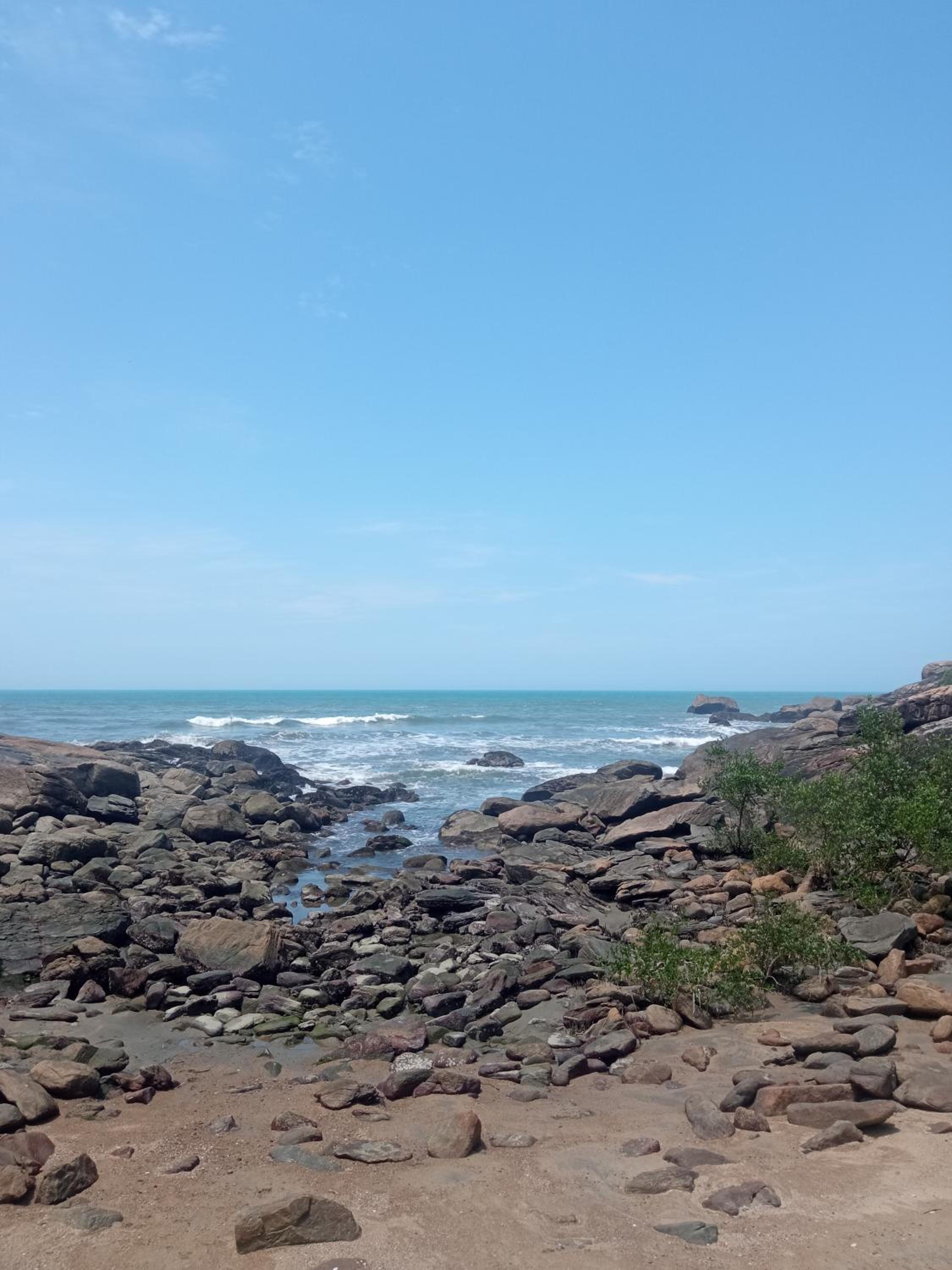 Estrela do Mar
