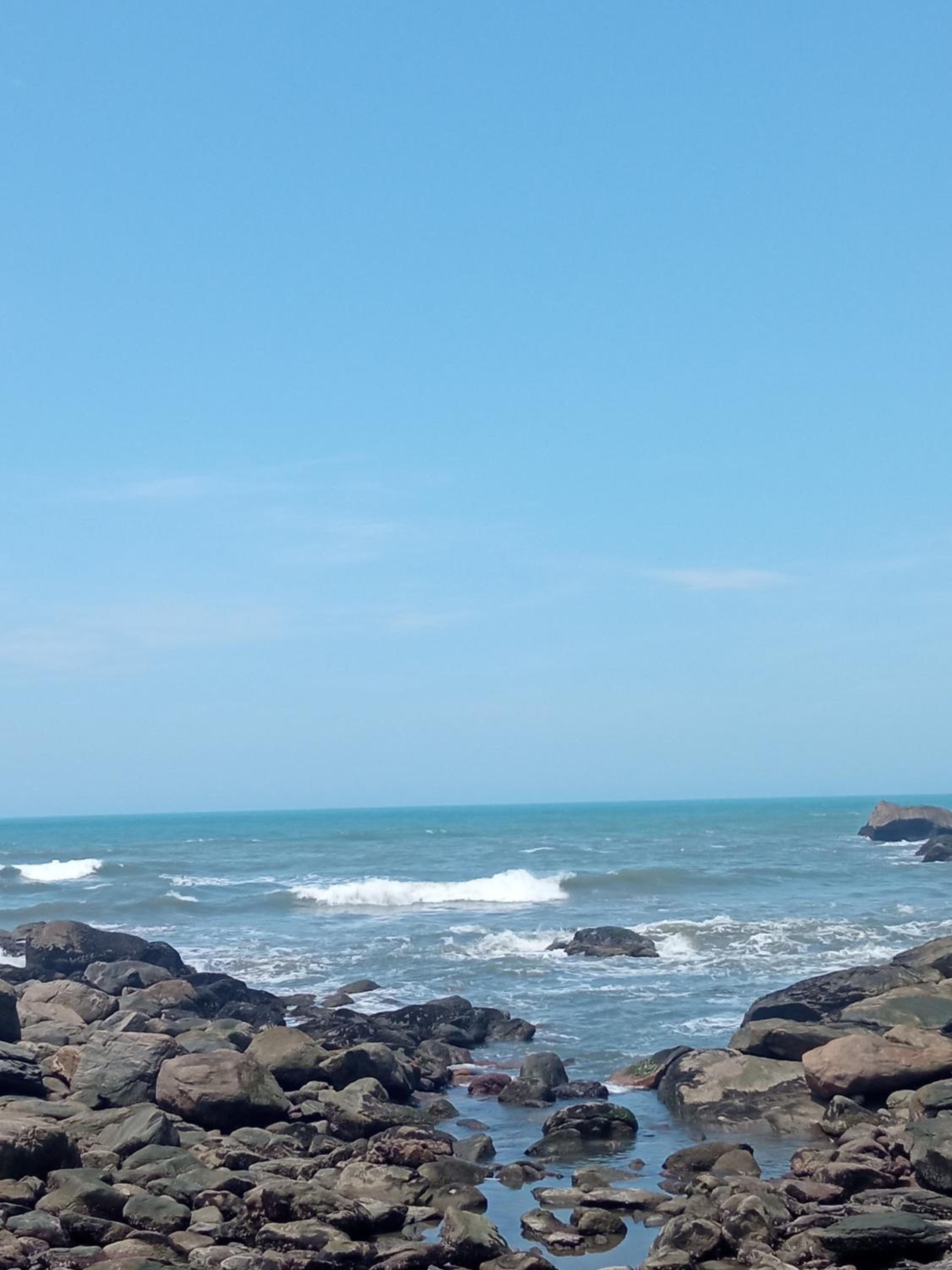 Estrela do Mar