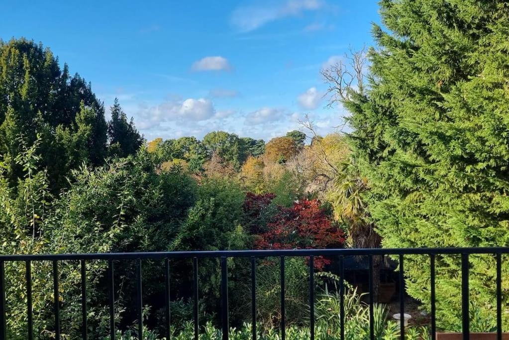 Entire Spacious 4 Bedroom Zen House with Garden View view 2
