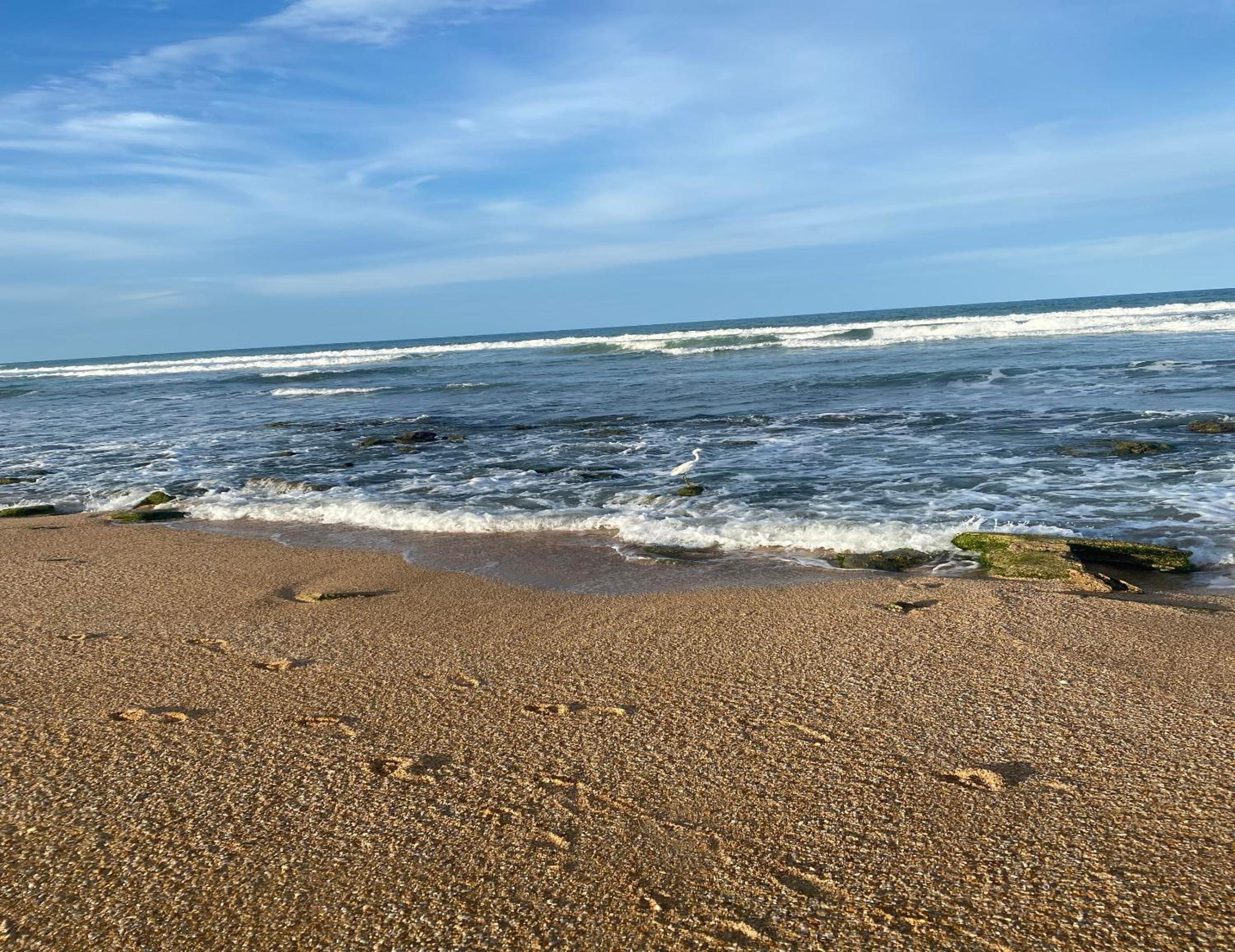 365 Cinnamon Beach, photo 23