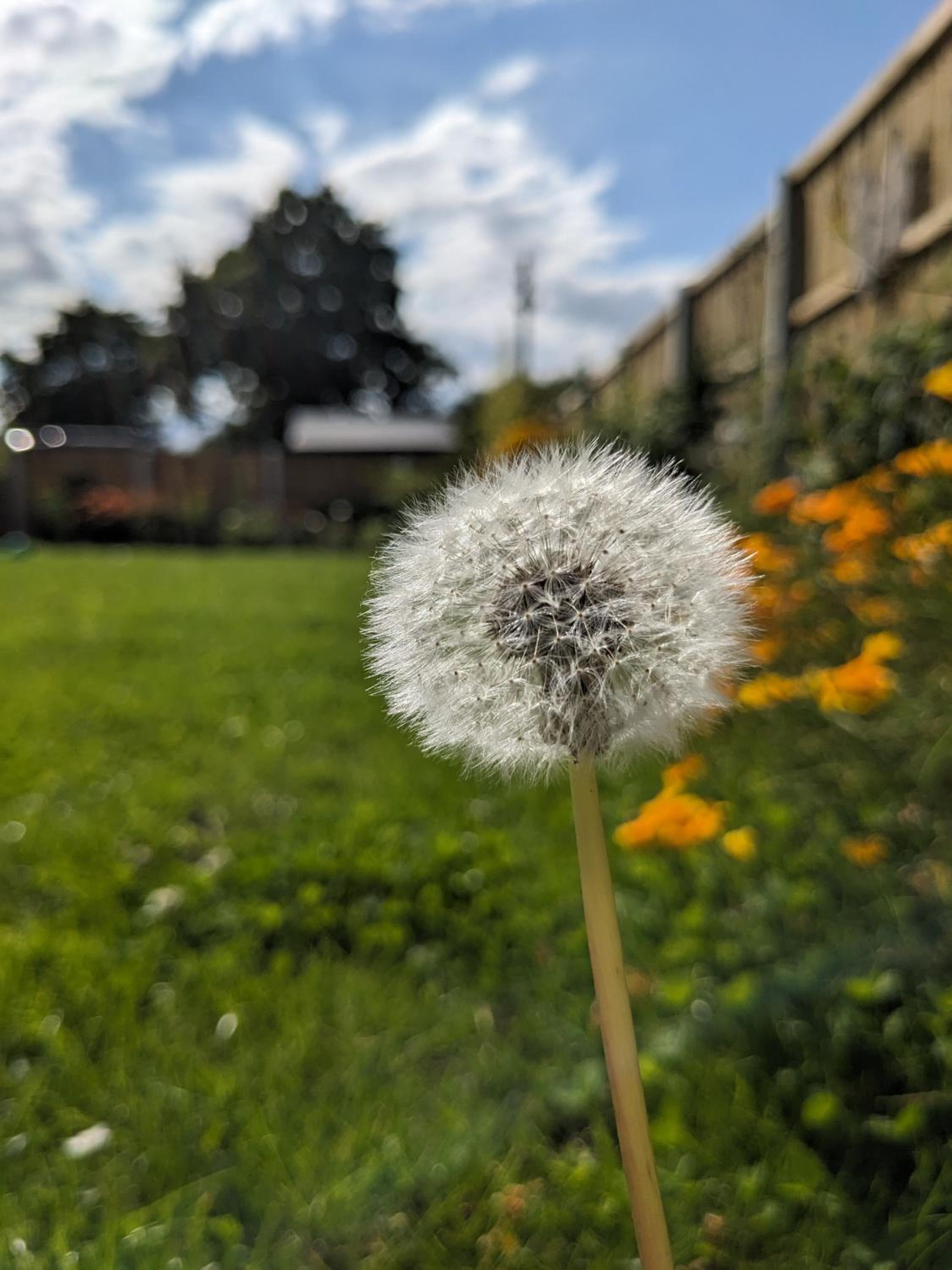 other