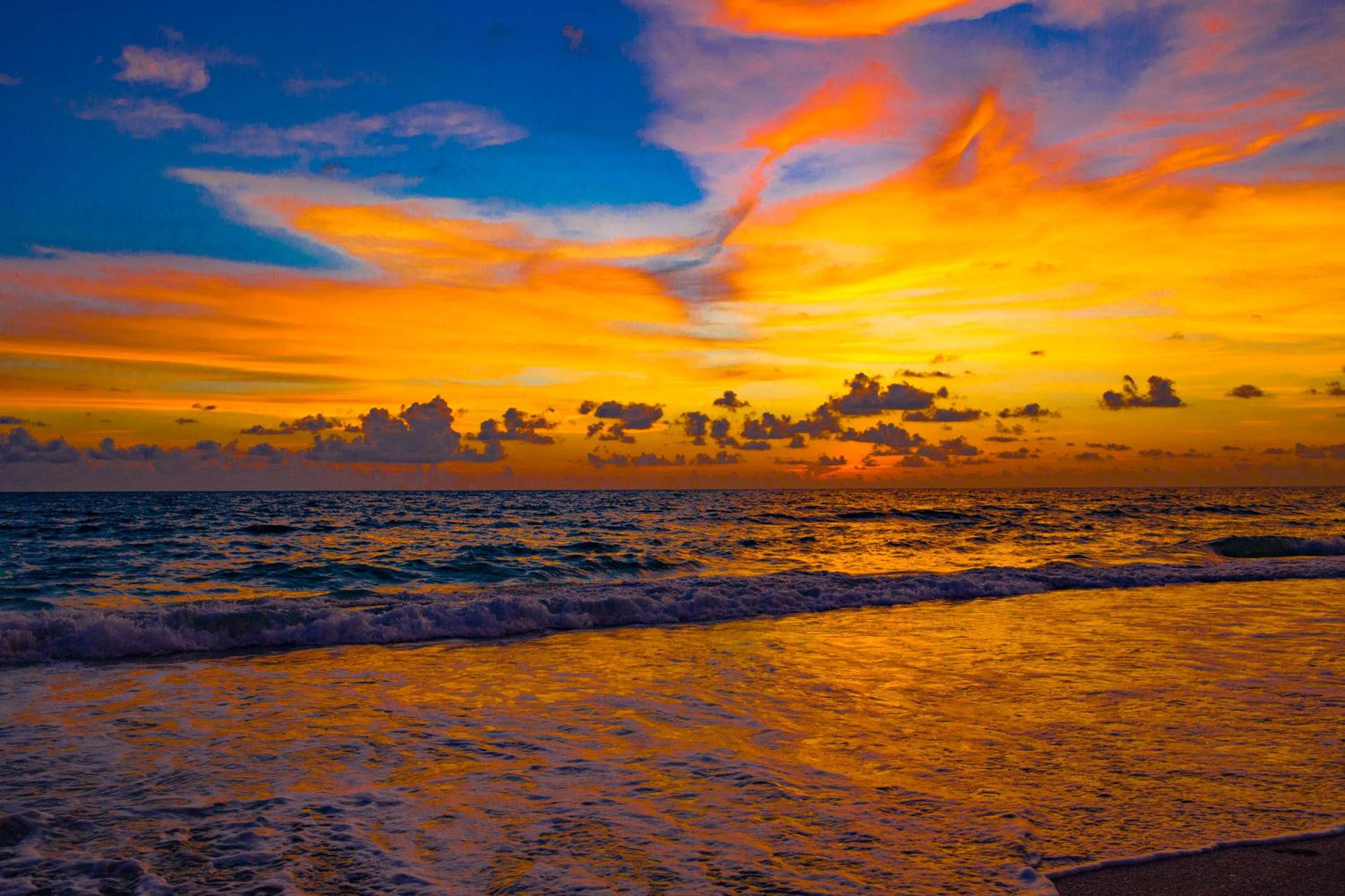 Anna Maria Island Beach Palms 2B