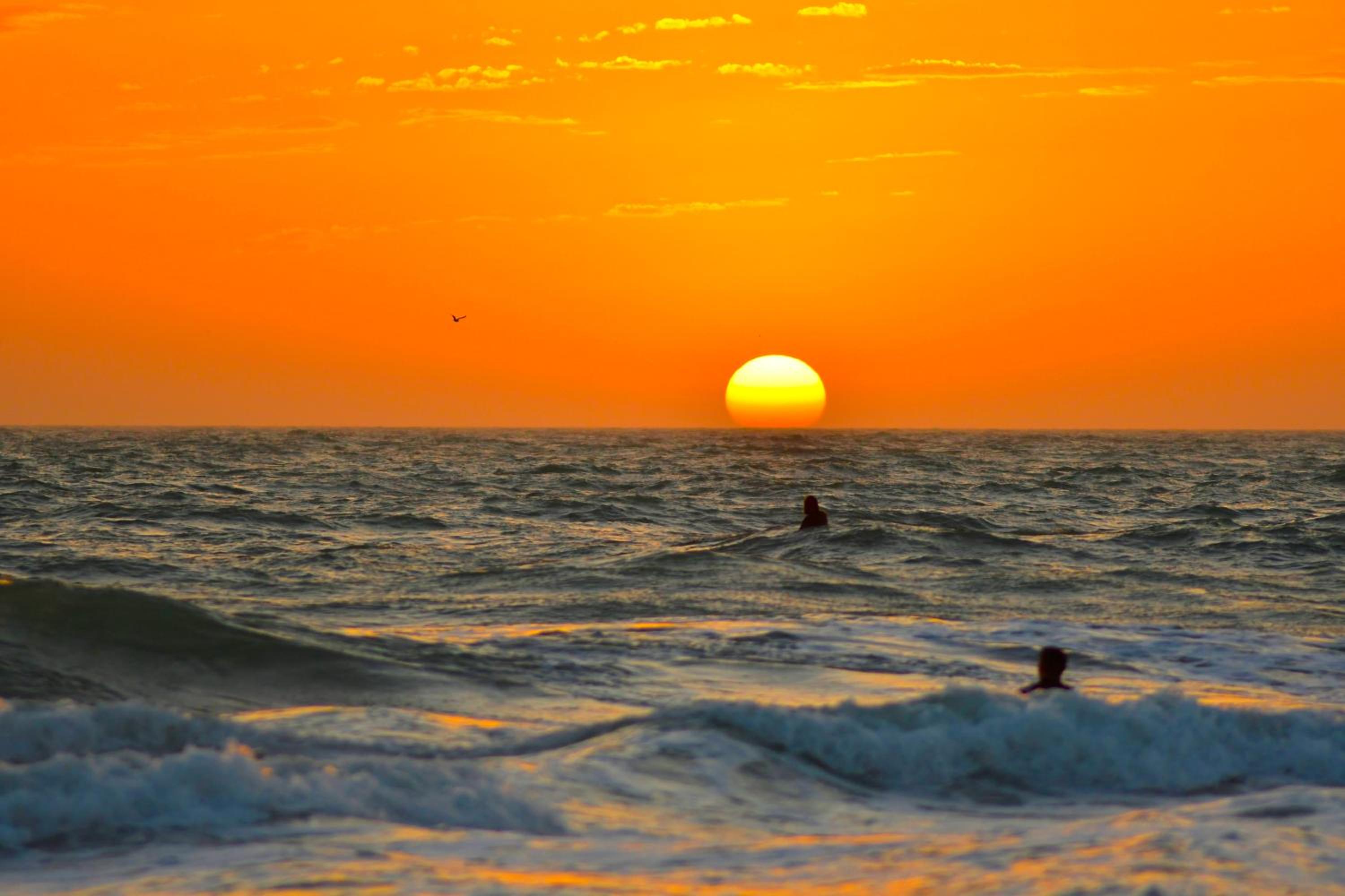 Anna Maria Island Beach Palms 2B