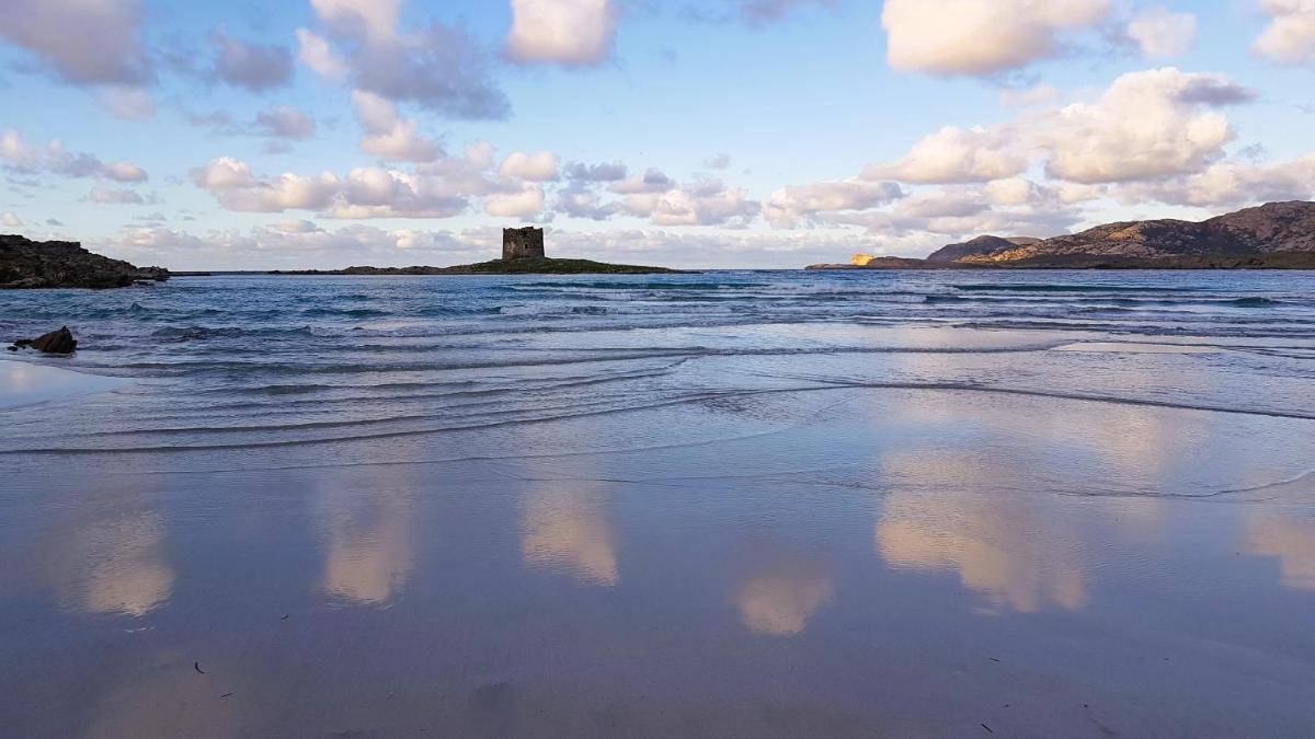 Rosa dei venti photo 5