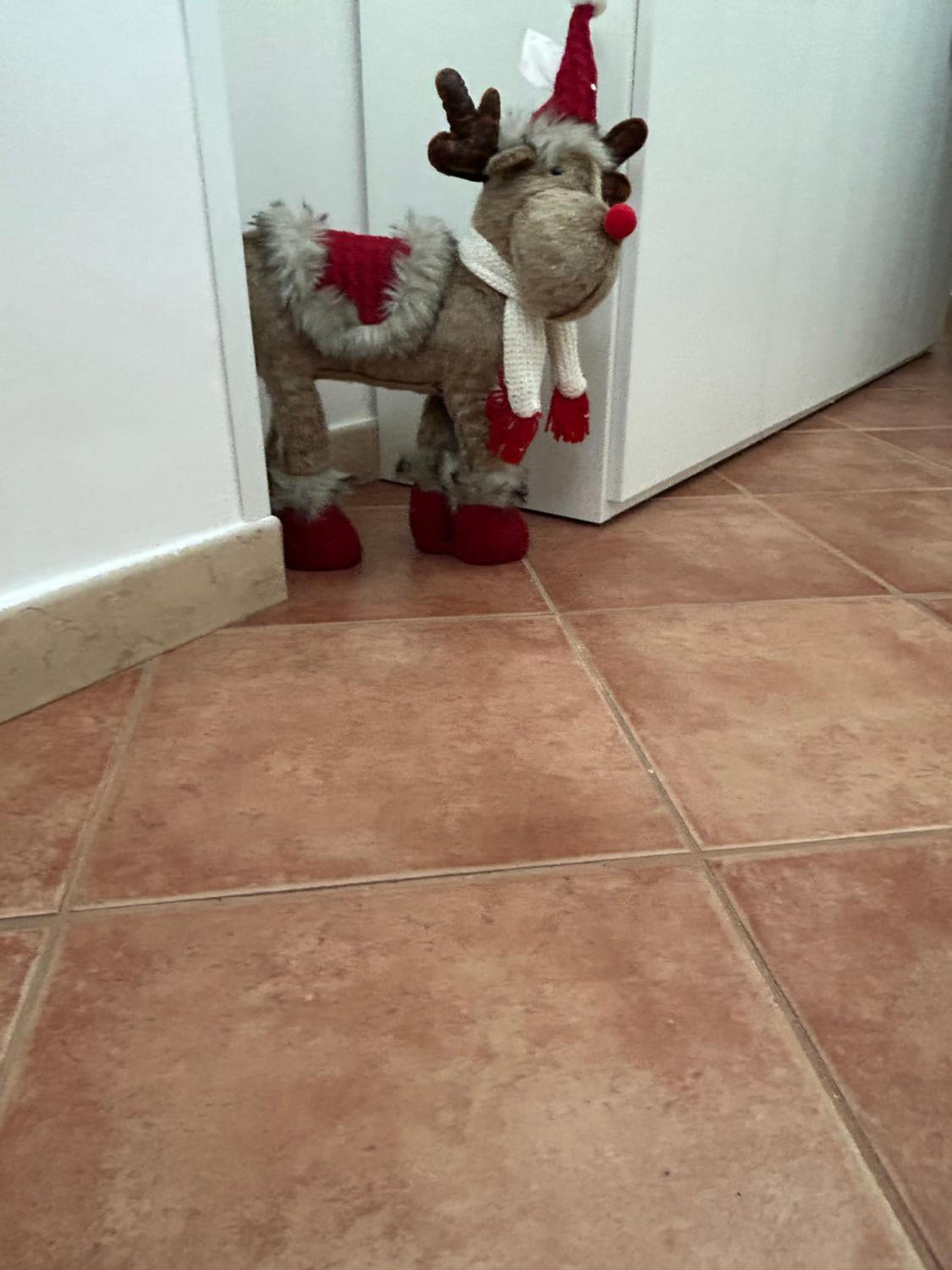 Photo 35