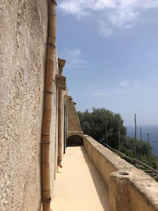 Alma Domus ancient house recently opened photo 4