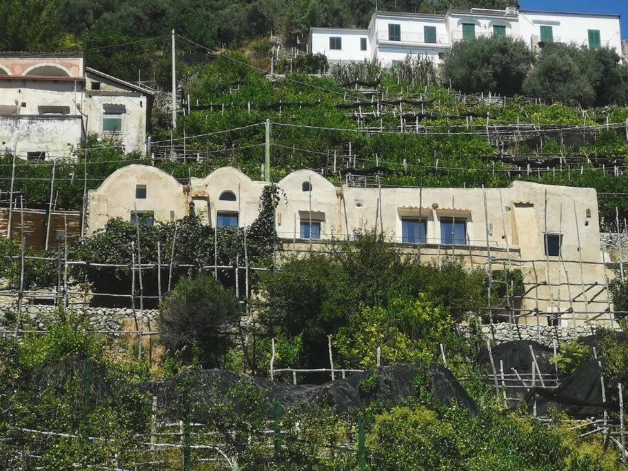 Alma Domus ancient house recently opened photo 5