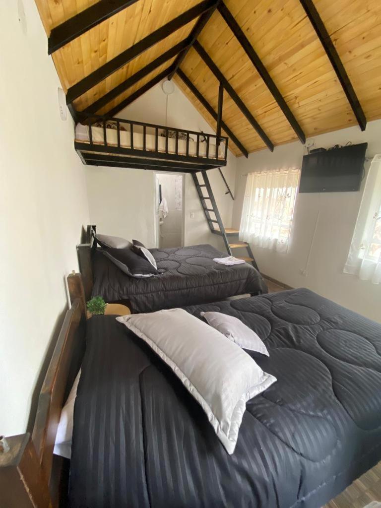 Hospedaje - Cabañas villa rosita