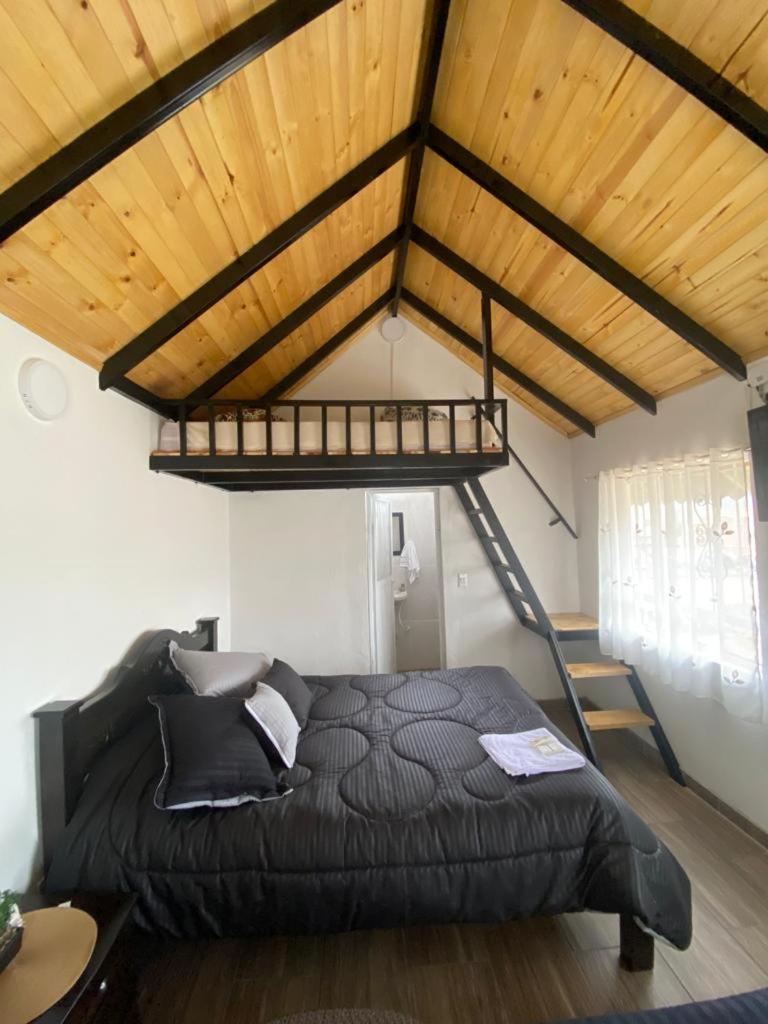 Hospedaje - Cabañas villa rosita