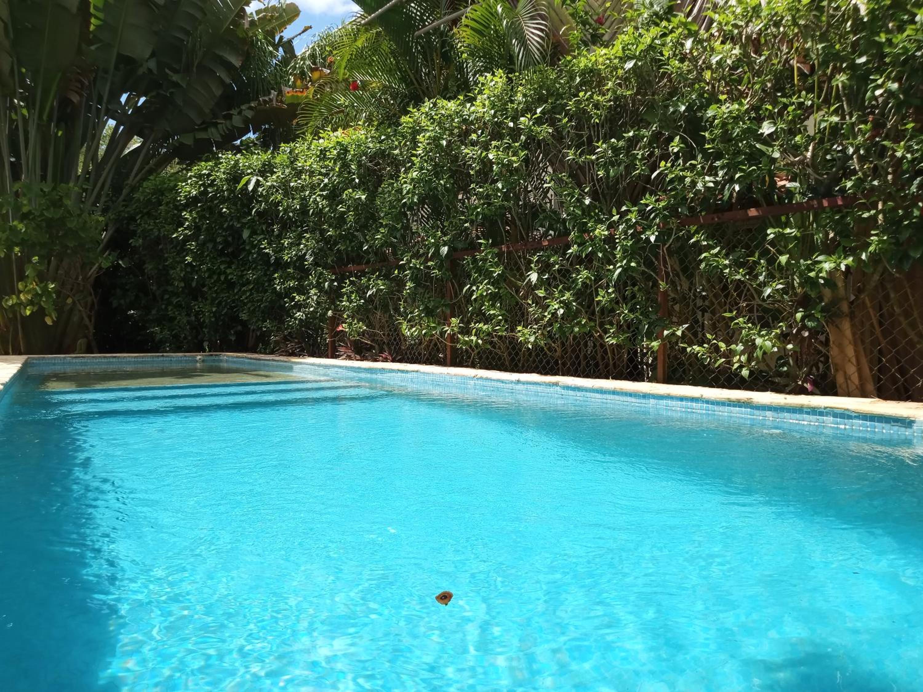 Costa Riki Apartments