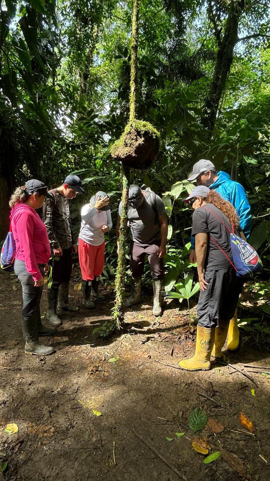 Gaia Amazon Eco Lodge