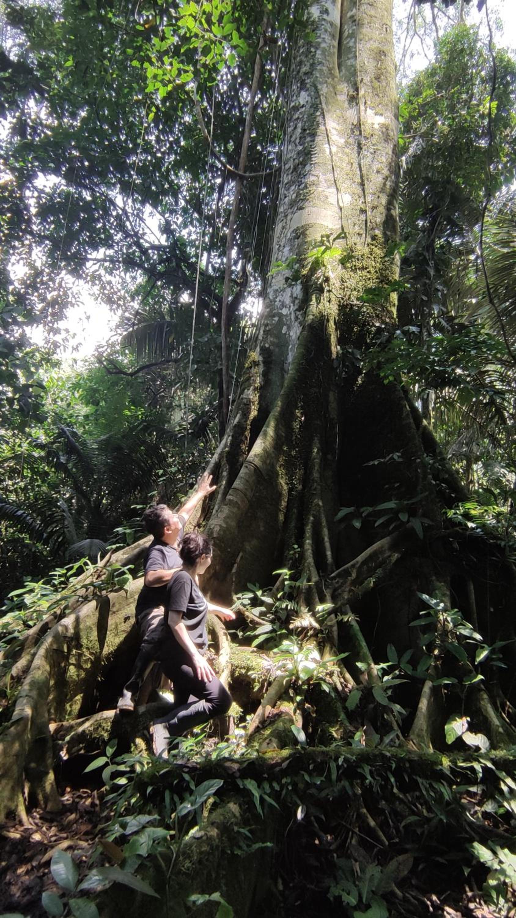 Gaia Amazon Eco Lodge
